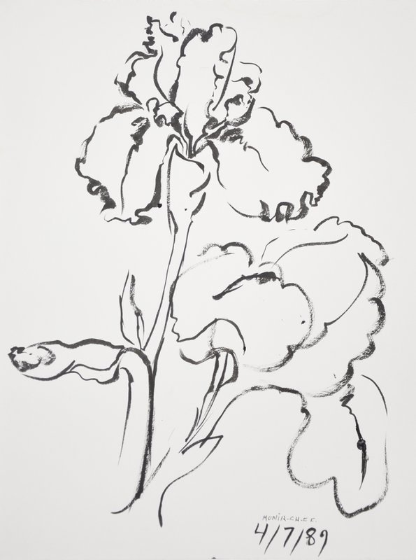 Iris [03]