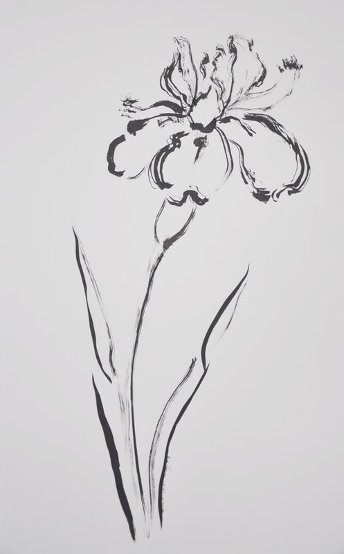 Wild Iris