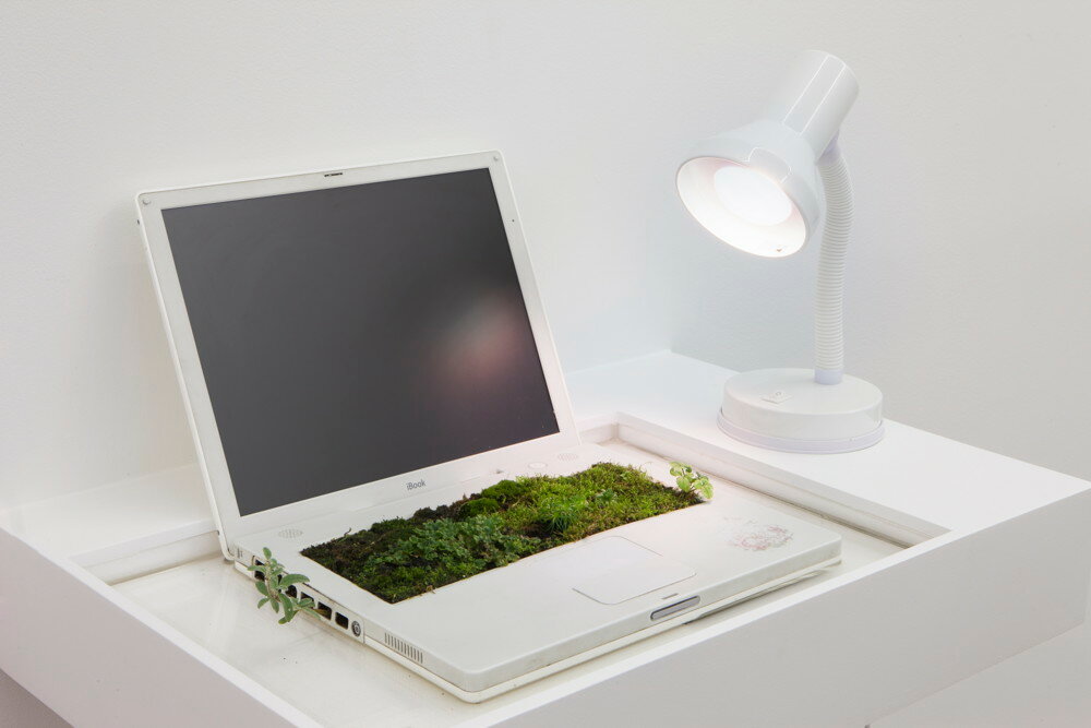 IBookgarden