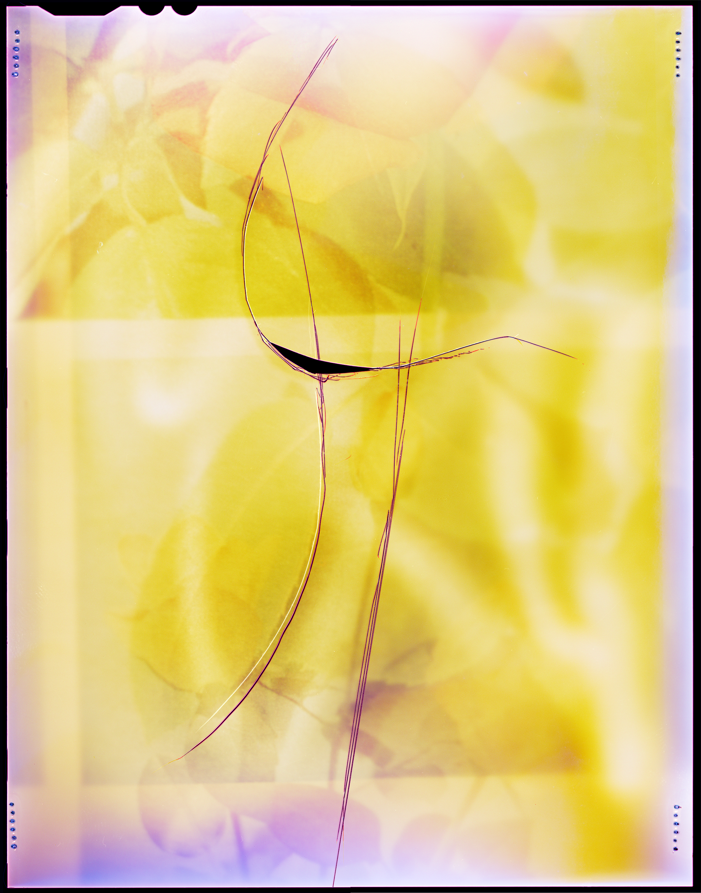 Yellow Mellow