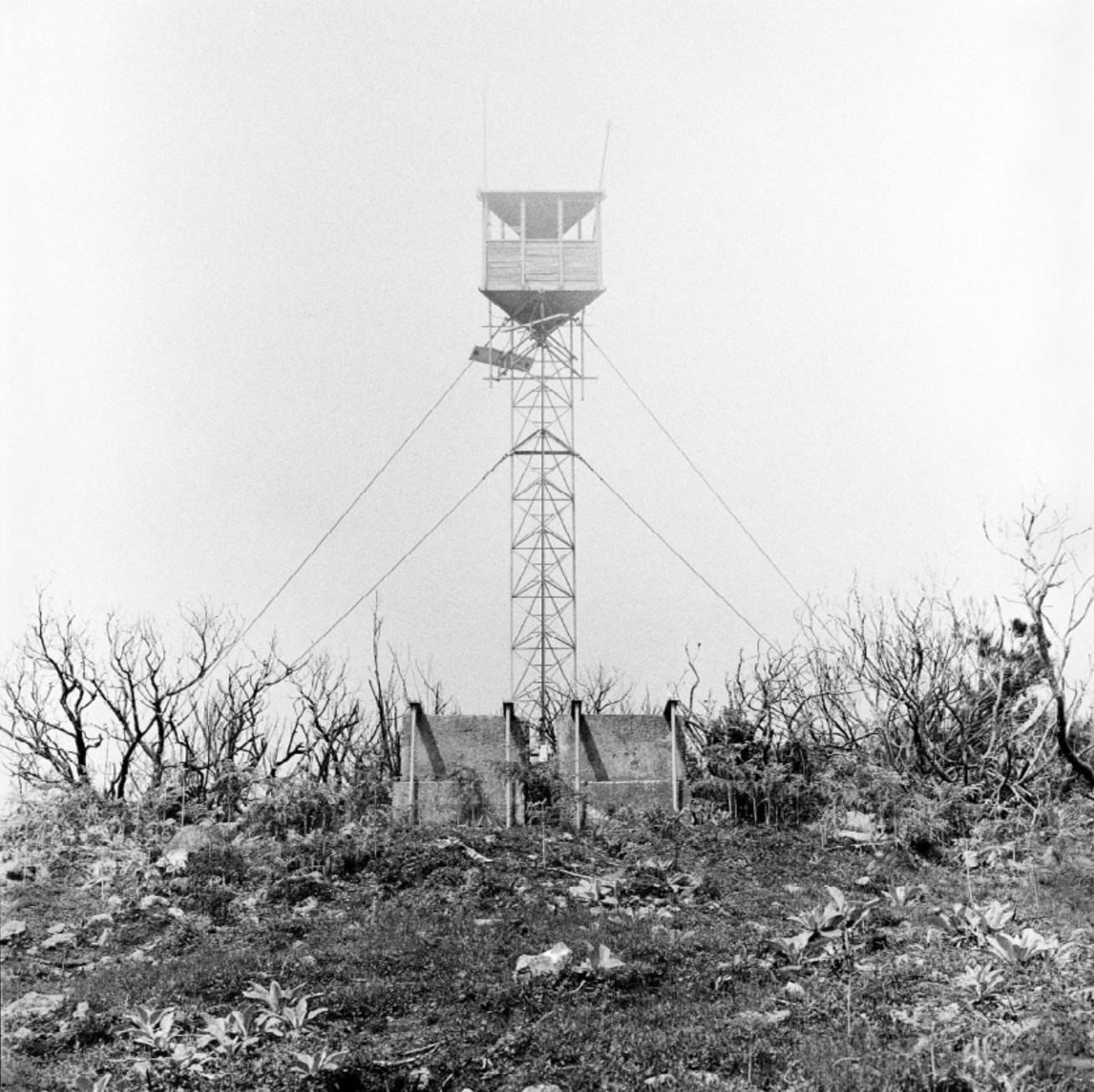 L'Homme, île de la réunion