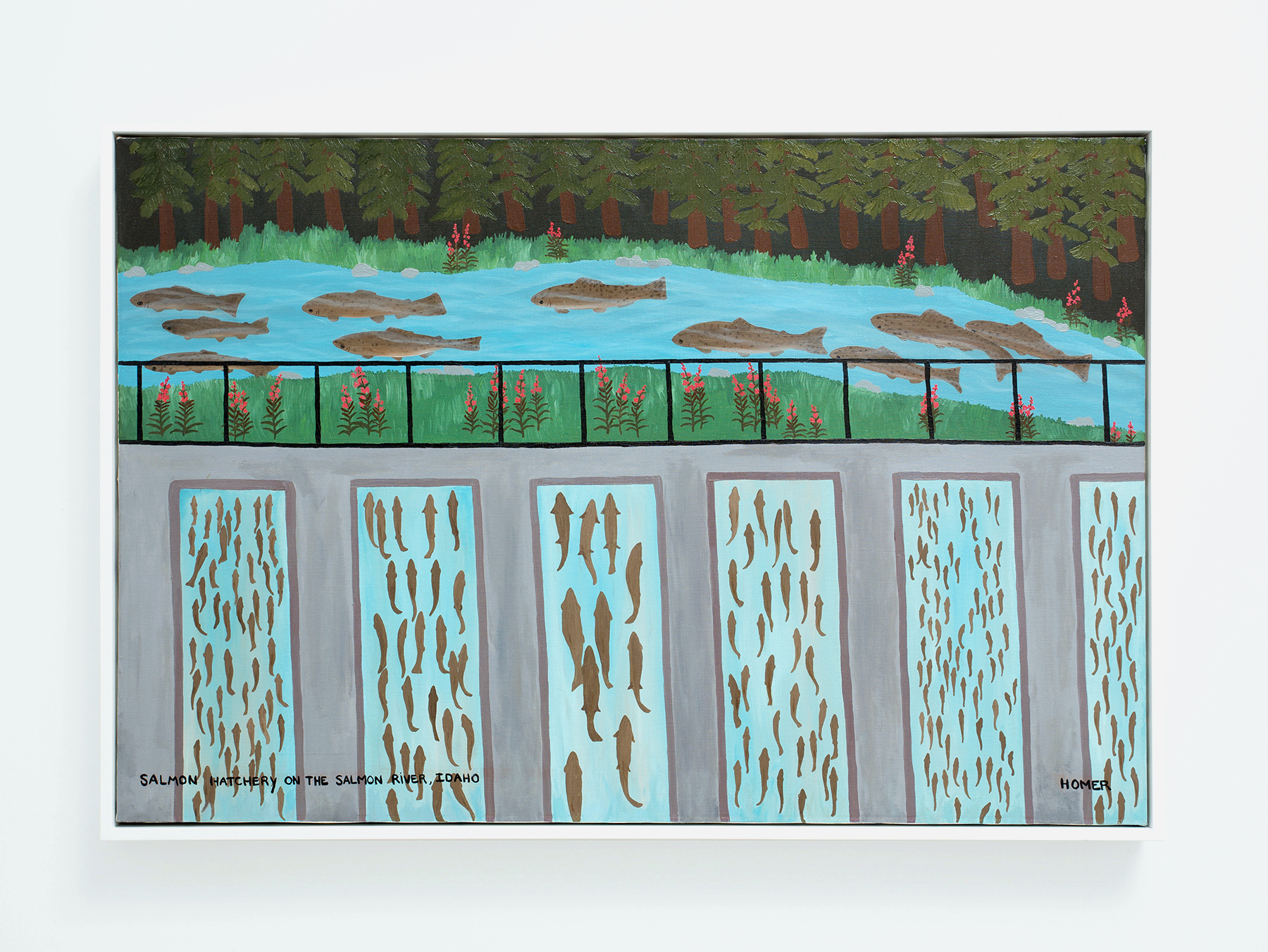 Salmon Hatchery On The Salmon River, Idaho