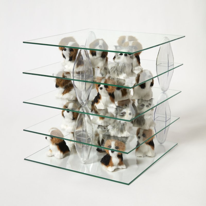 Shelving Unit (Small Animals)