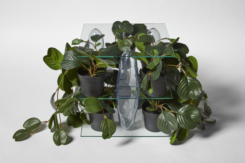 Shelving Unit (Plants)
