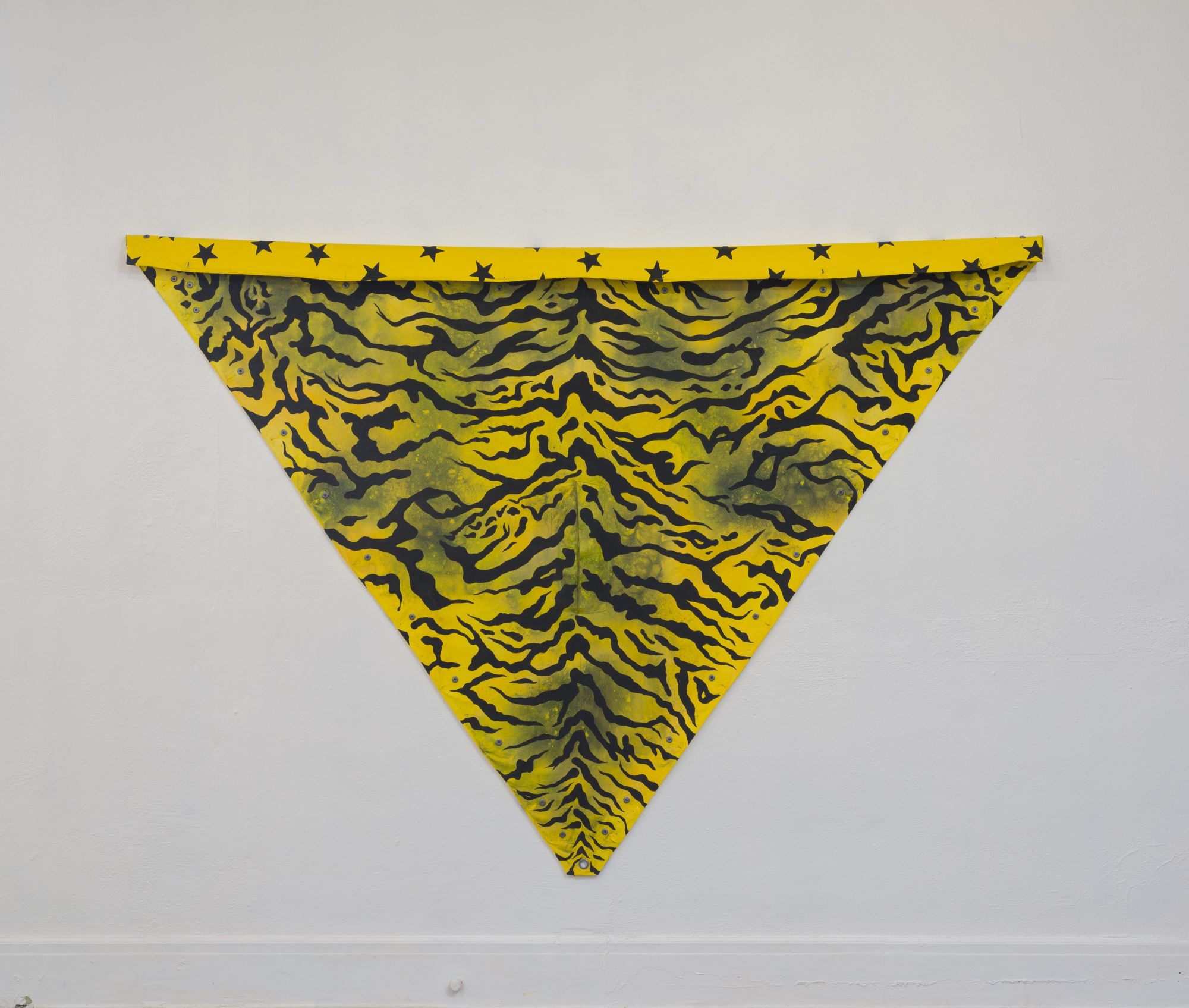 Coated Shelter-quarter (Anonymous March, Los Angeles, USA, March 15, 2008 (Stars), Protesters for th...