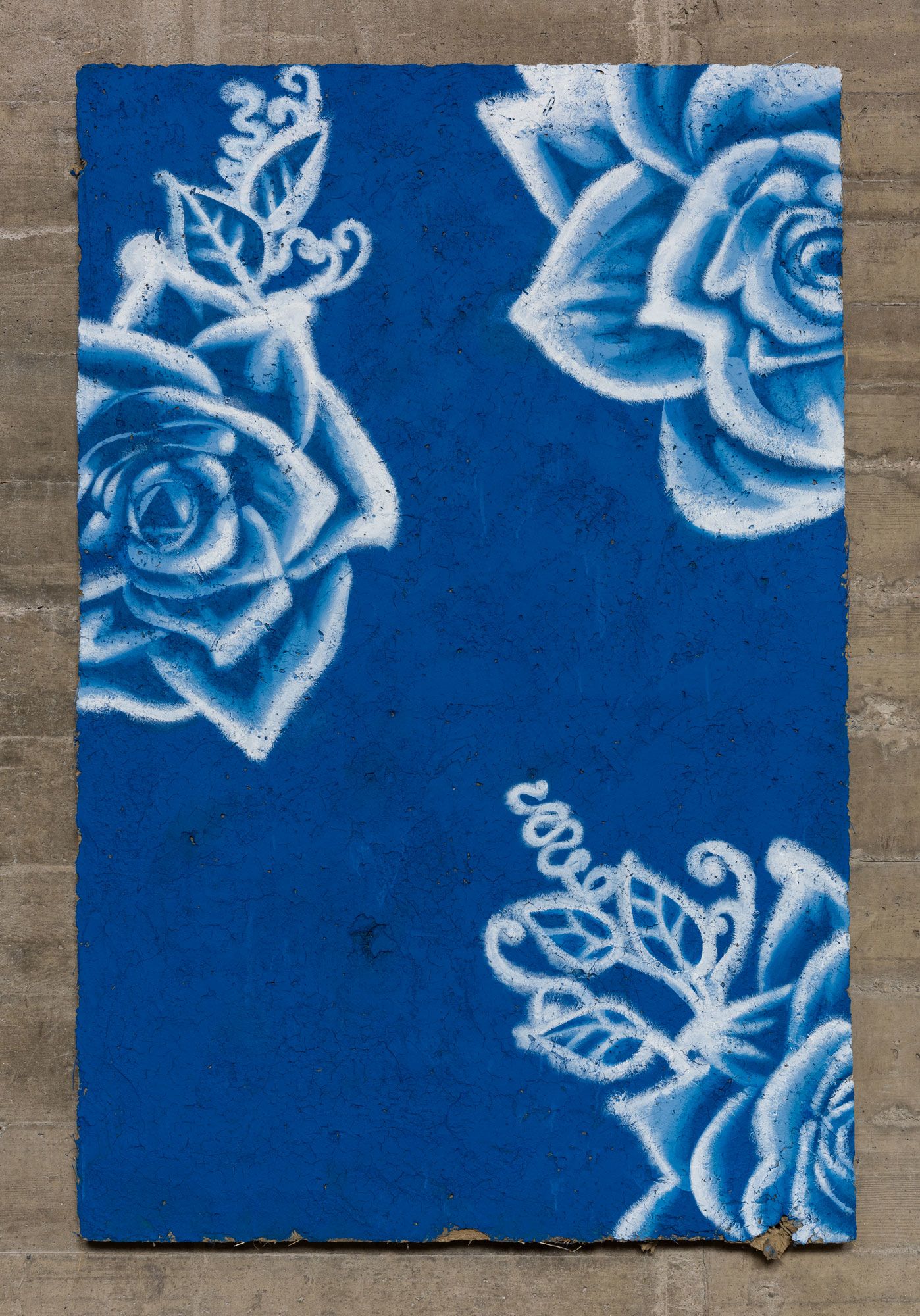 starshots: blue roses