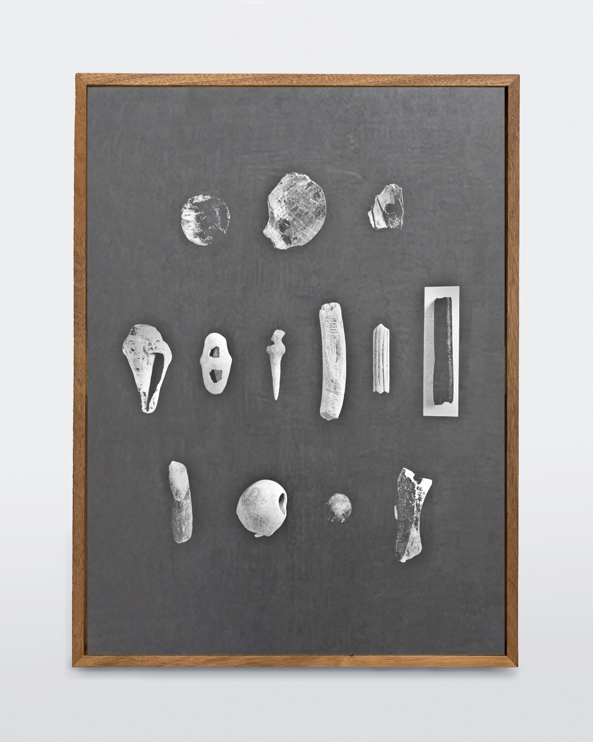 13 dry small shell artifacts from the Cenote of Sacrifice