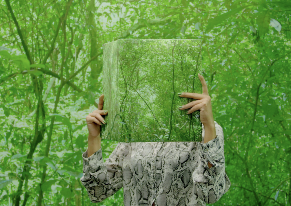 If We Delete Green, If We Start to Care About Plants