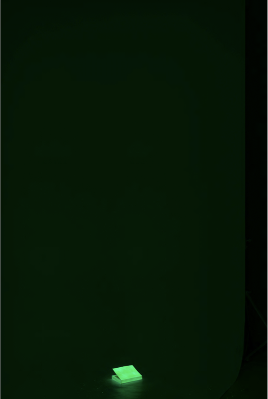 If We Delete Green, If We Start to Care About Plants No.11