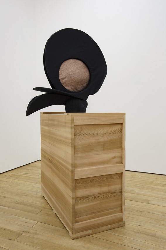 Black Bird's Hat