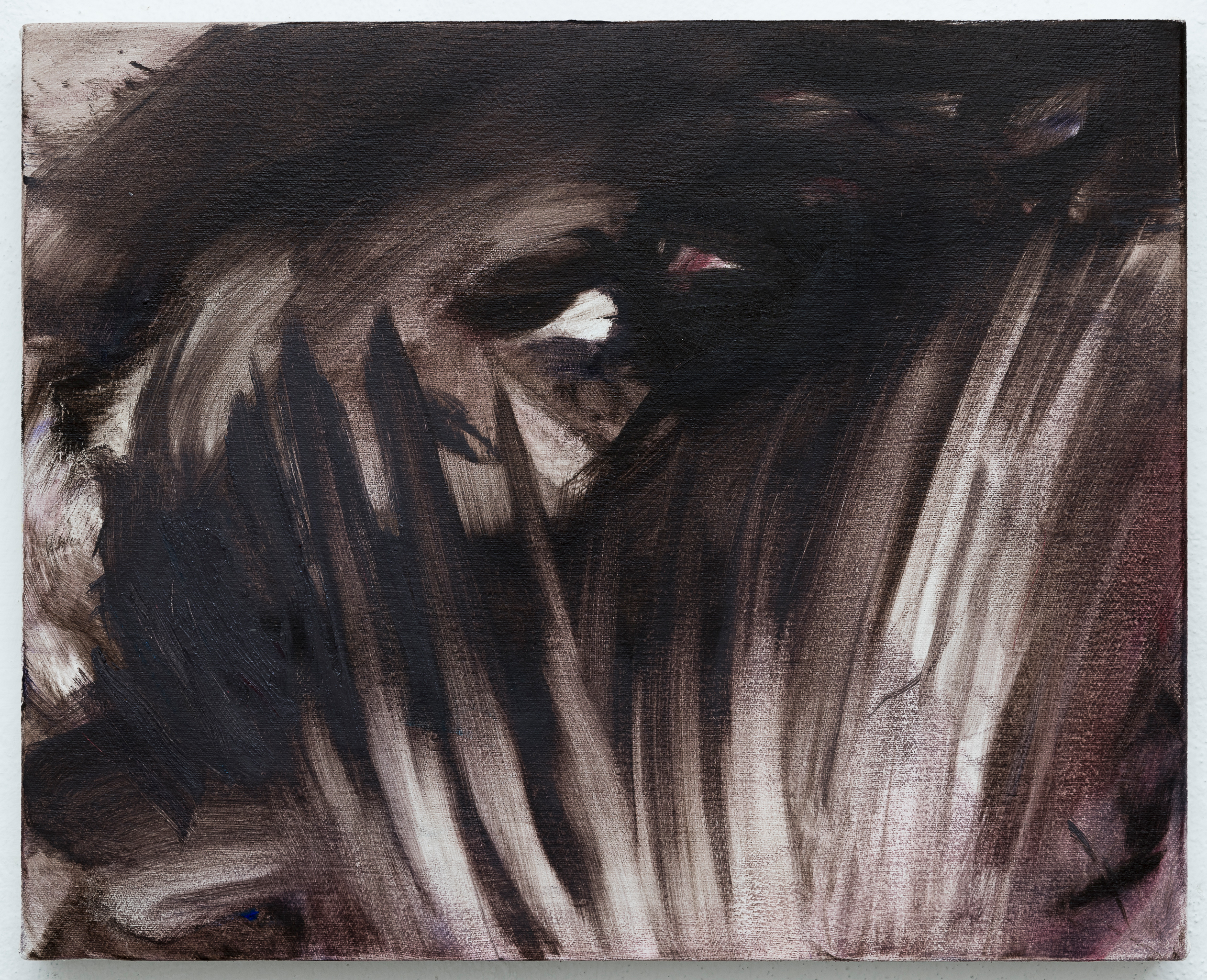 Van Dyke Brown and Studio Dust