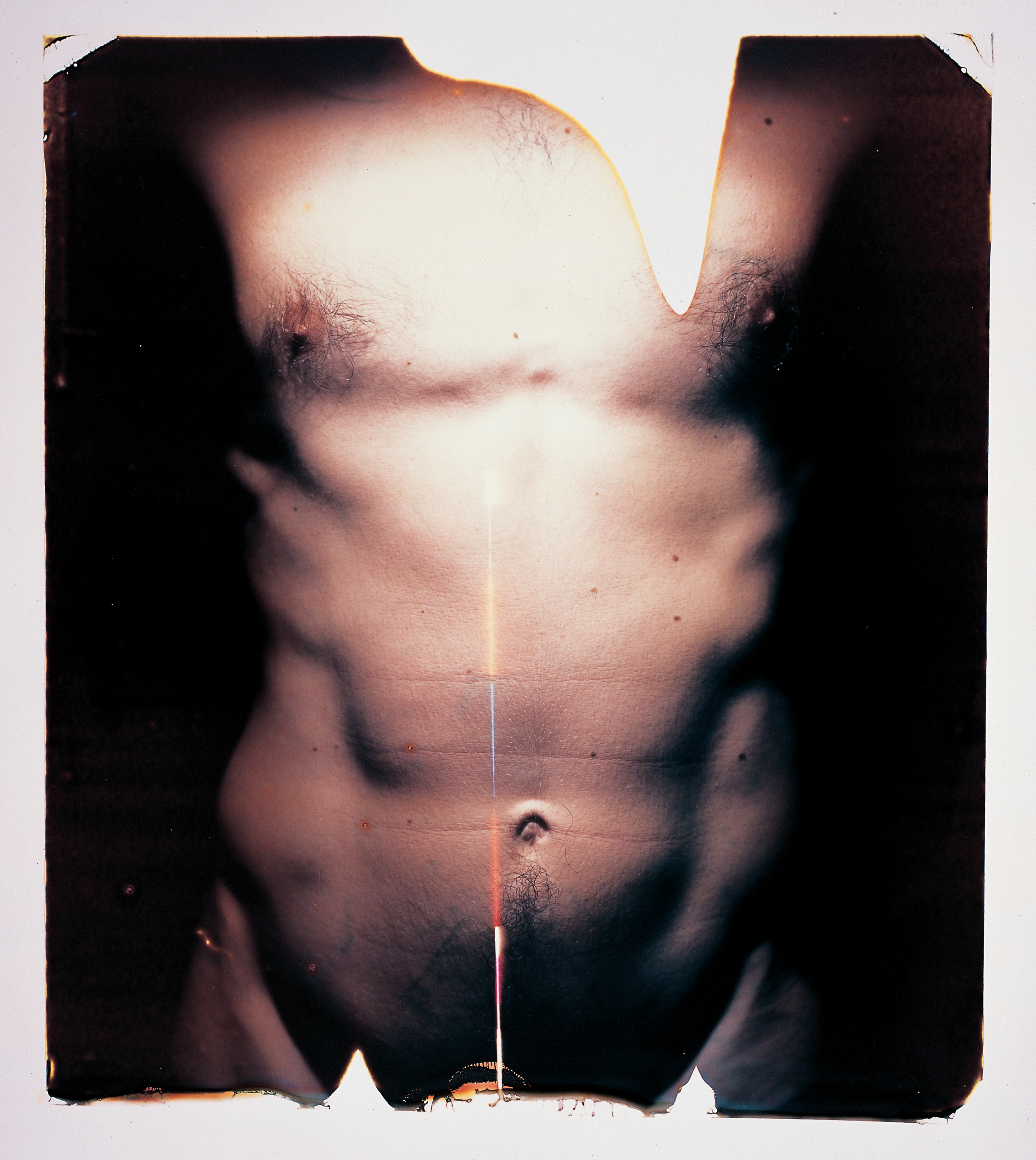 Torso