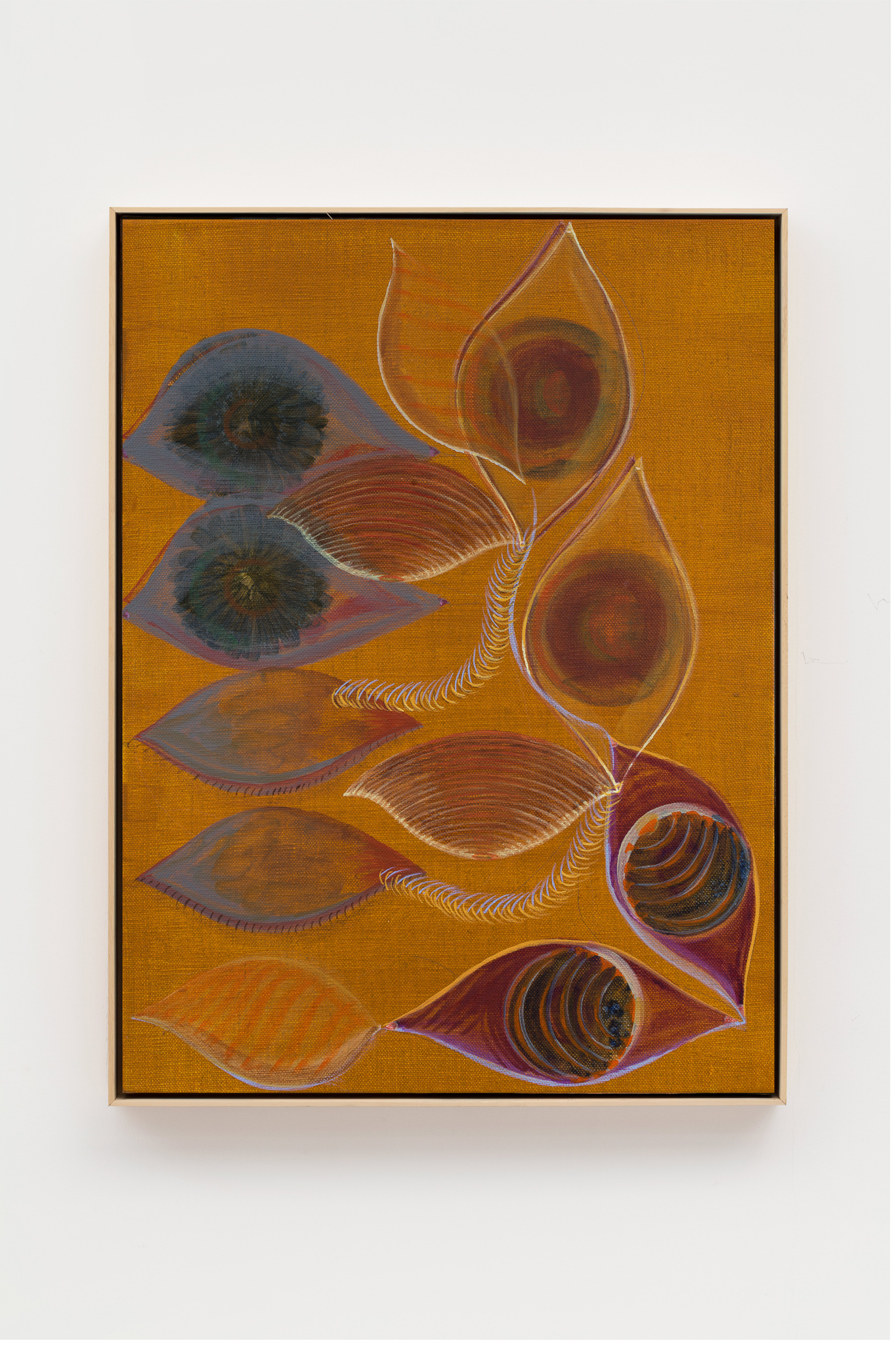 The Collection of the Gaze
