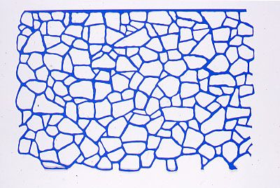 Untitled (crazy paving)