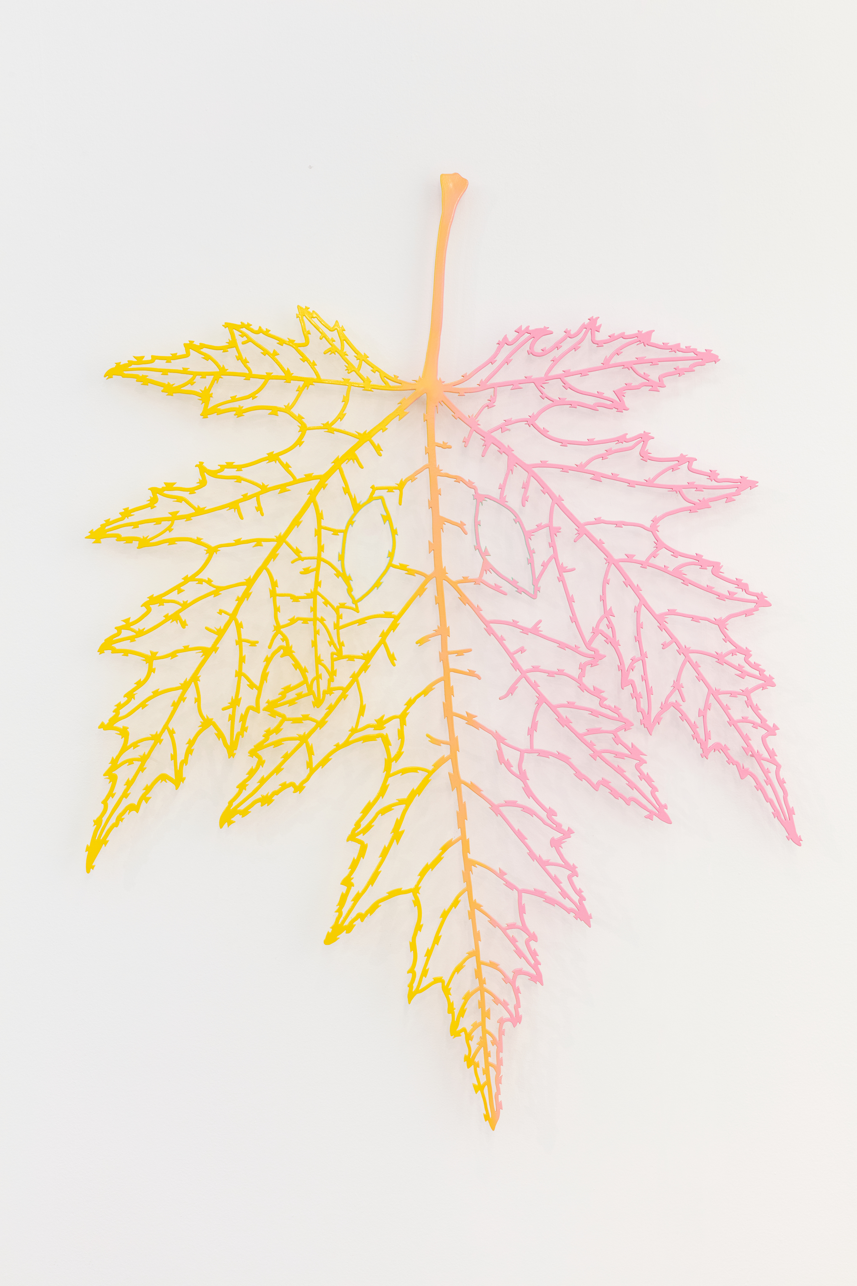 Razor Wire Leaf
