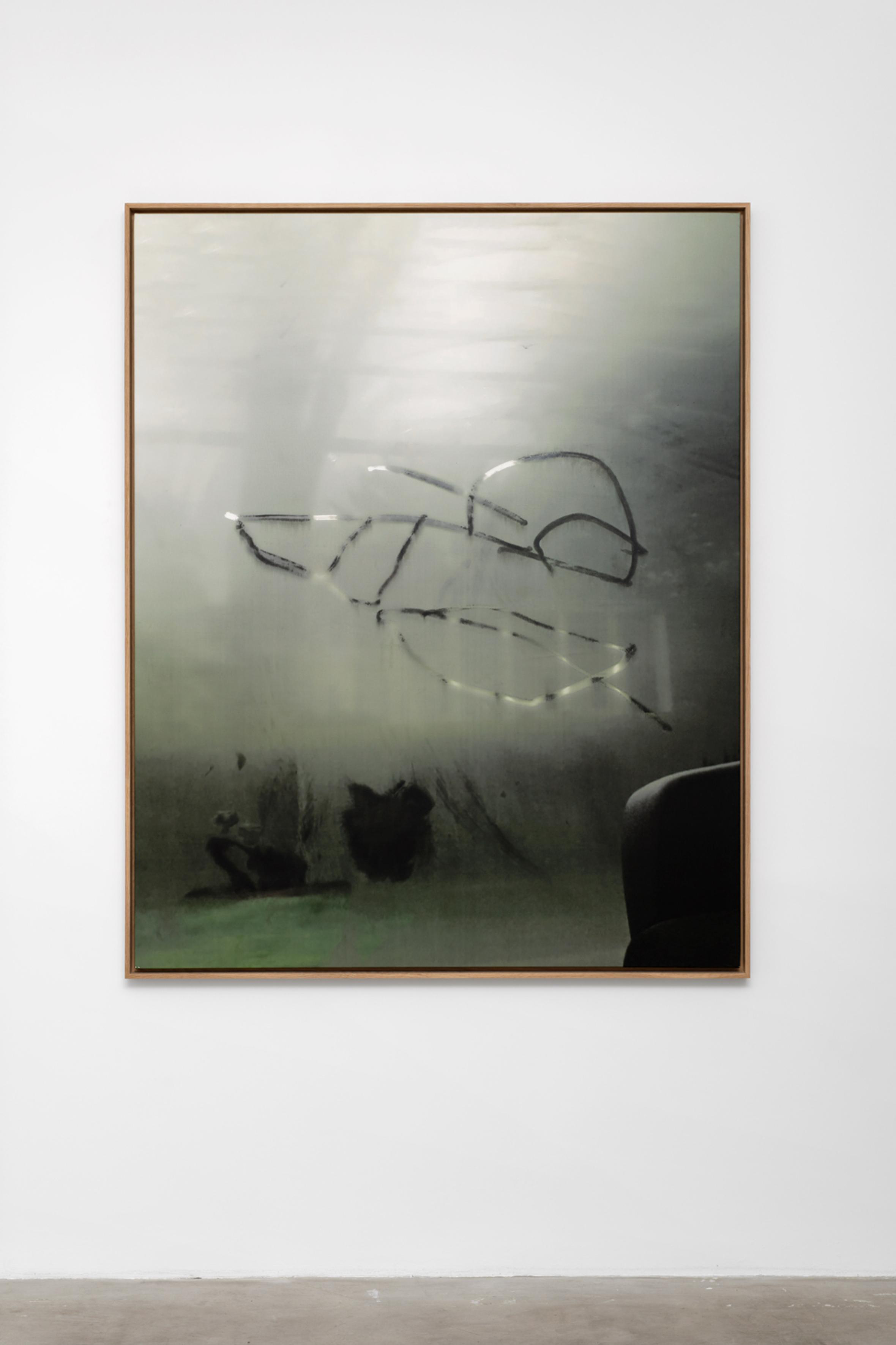 Untitled (the Light that Filters through the Green)