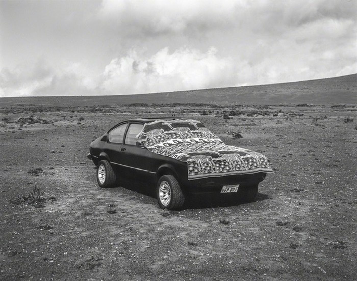 Cóndor