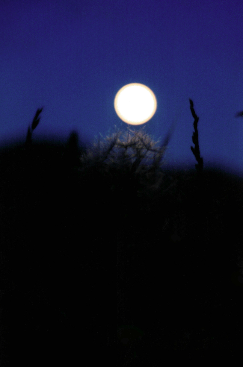 North Salem Moon (1993)