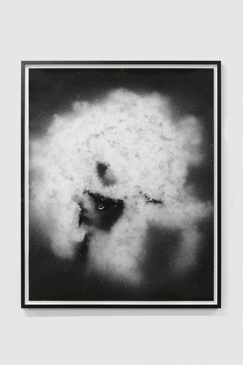 Untitled 23