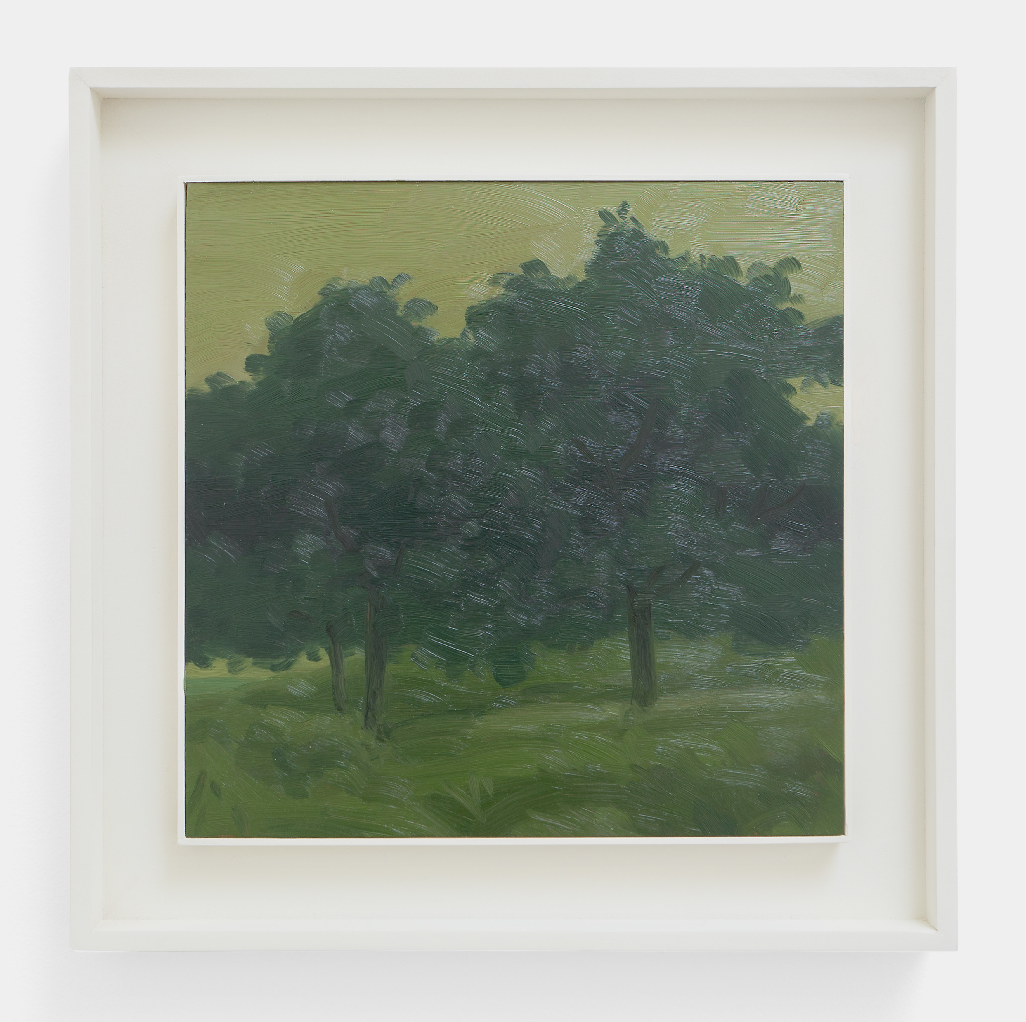 50 Landscape