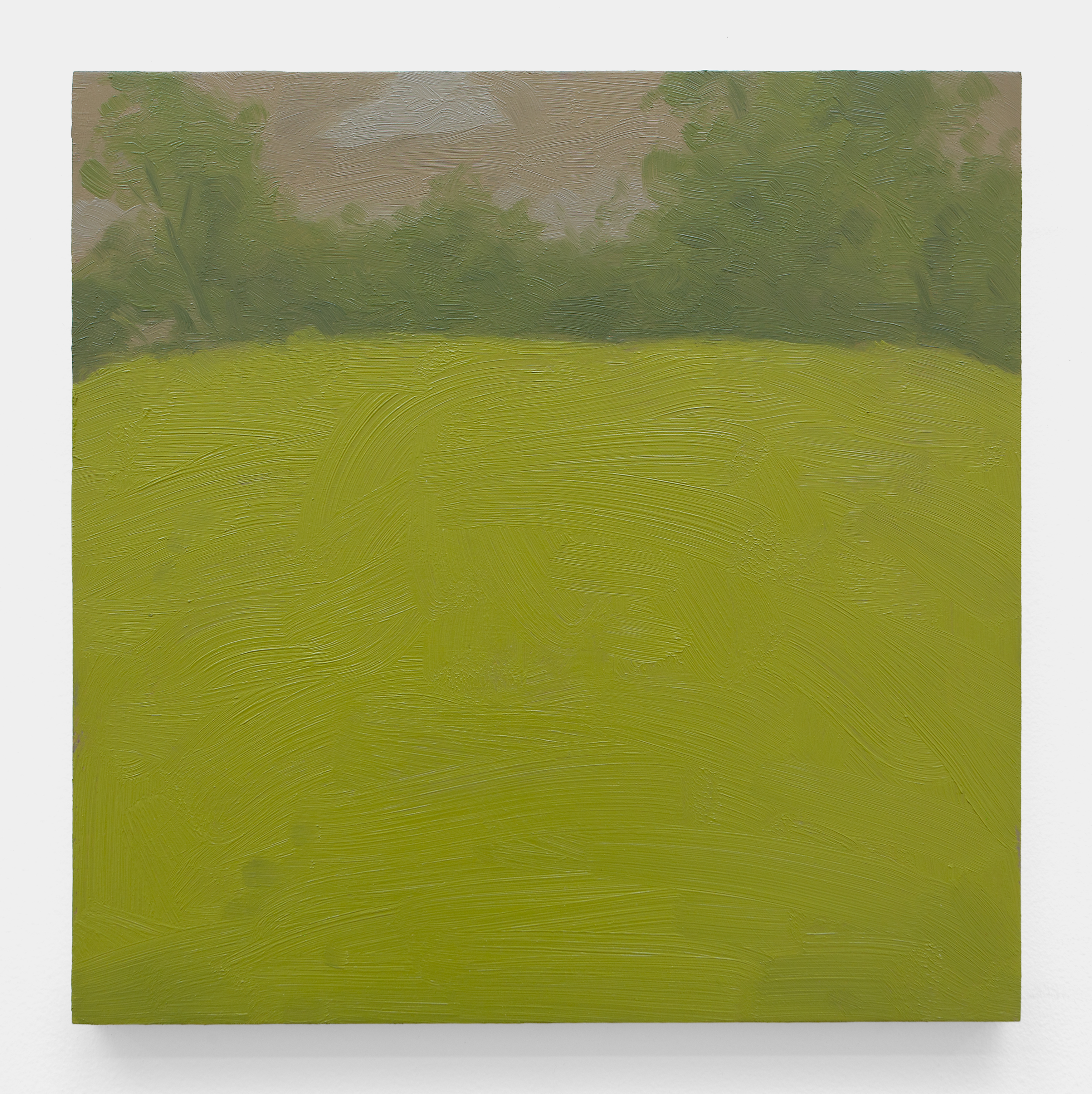 14 Landscape
