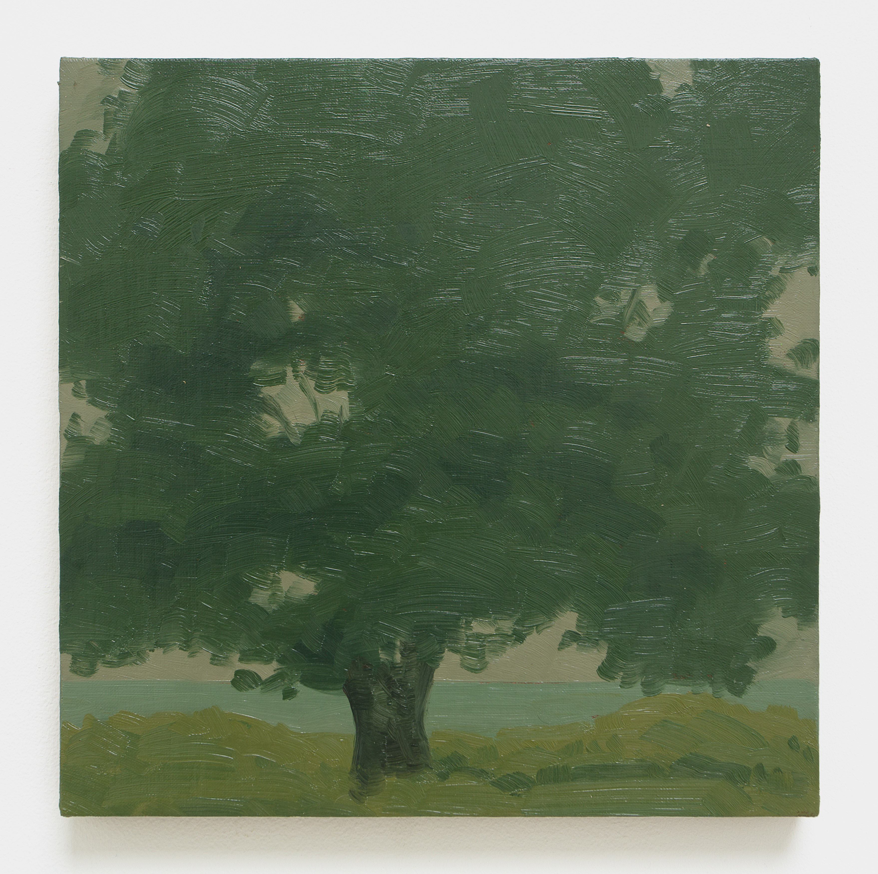 Lake Tree