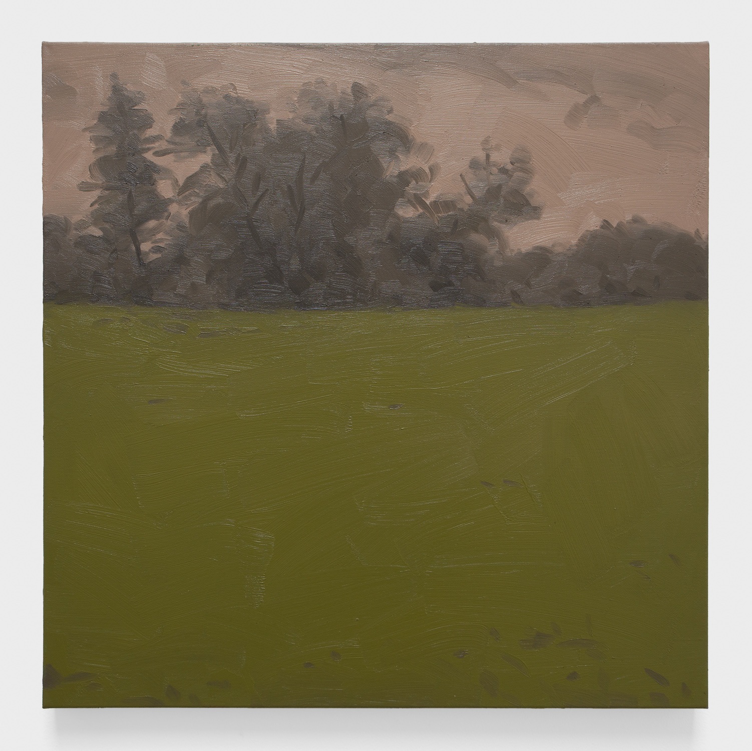 Green Field with Pink Sky