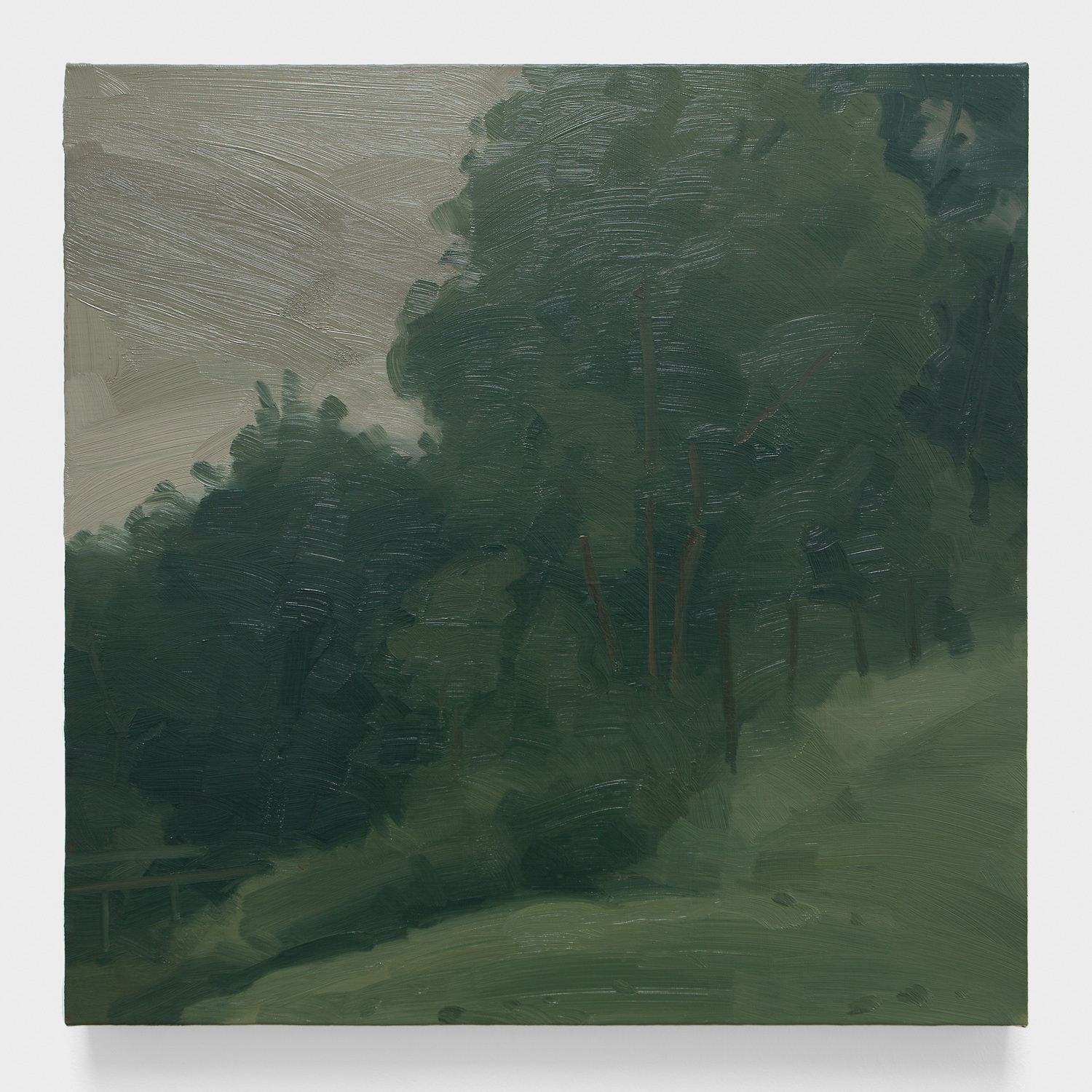 Hill with Trees and Fence