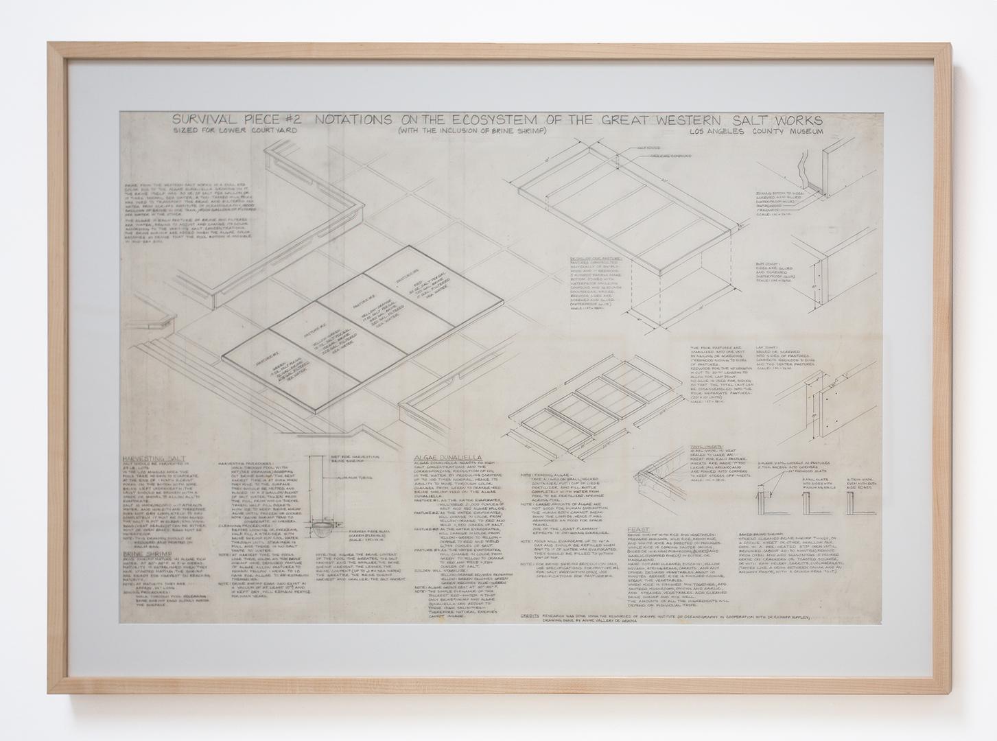 Survival Piece #2: Notations on the Ecosystem of the Great Western Salt Works