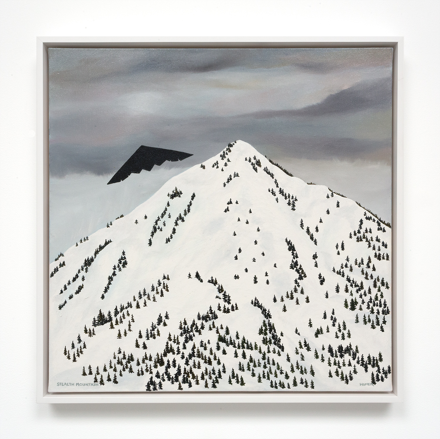 Stealth Mountain