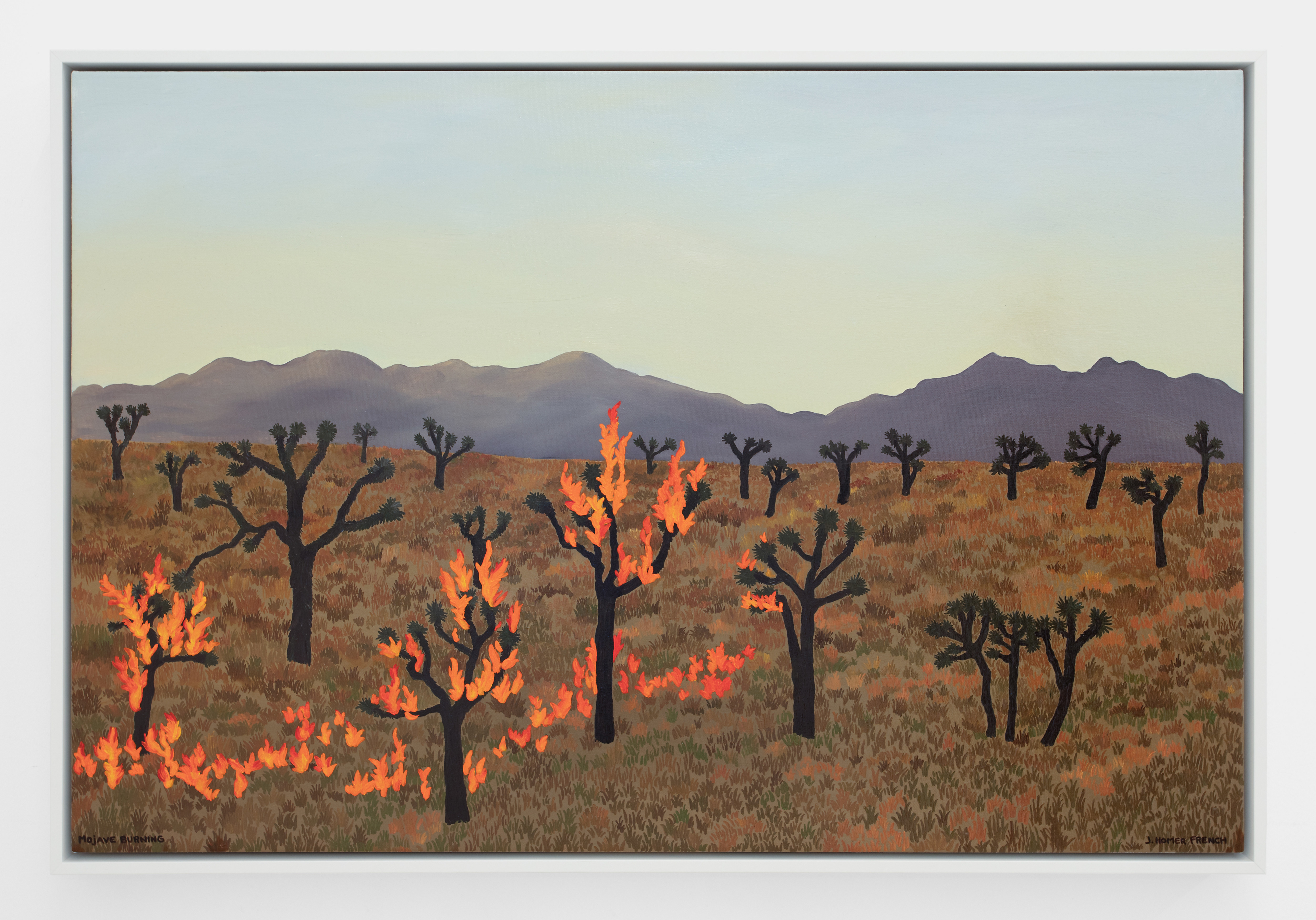 Mojave Burning