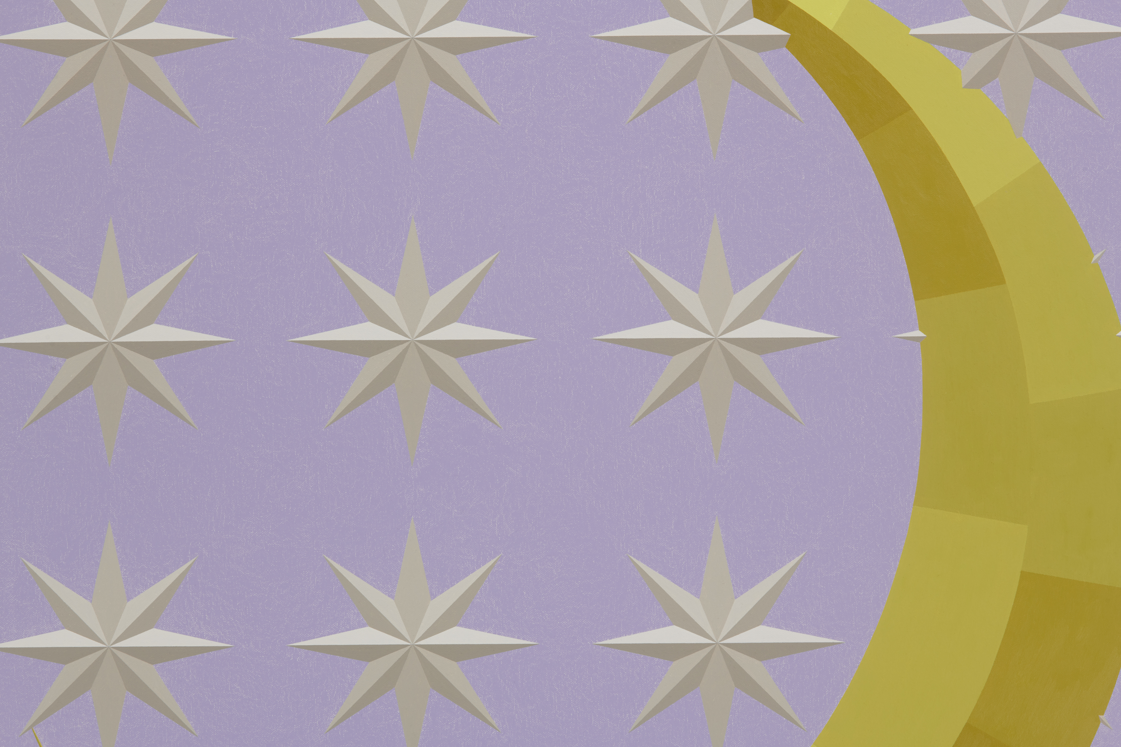 Lunar Panel with Stellar Array