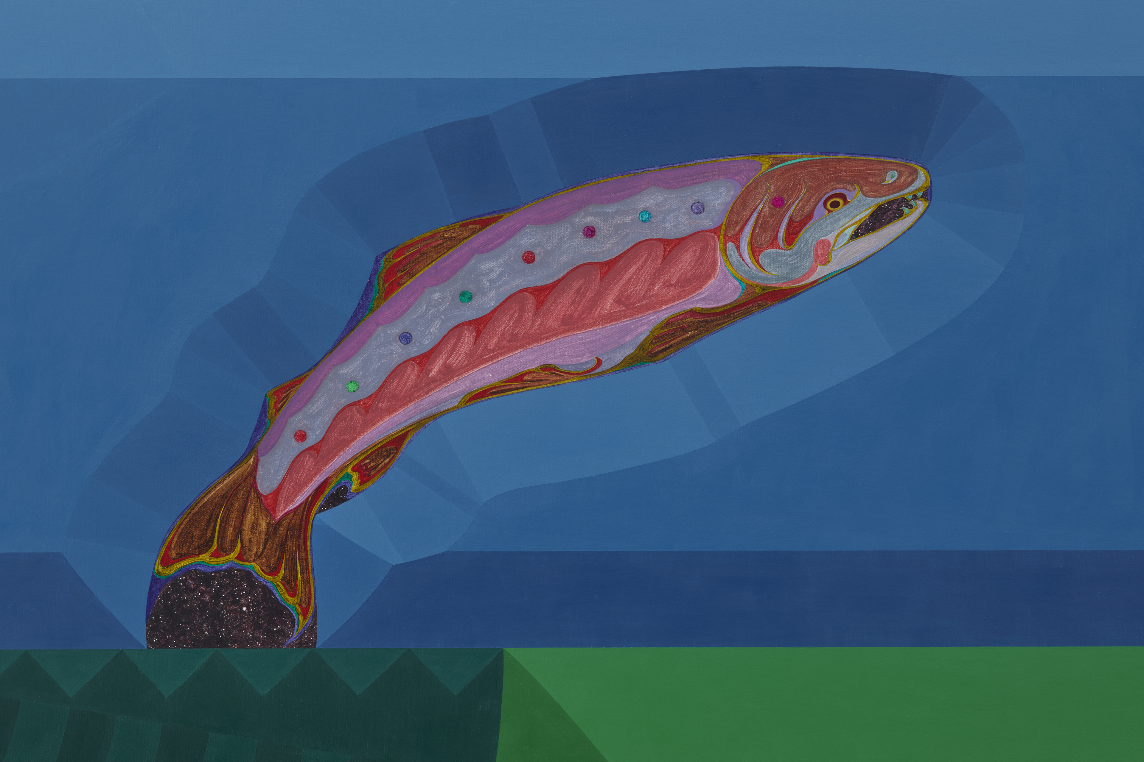 Beatiﬁed Salmon in Sheer Landscape