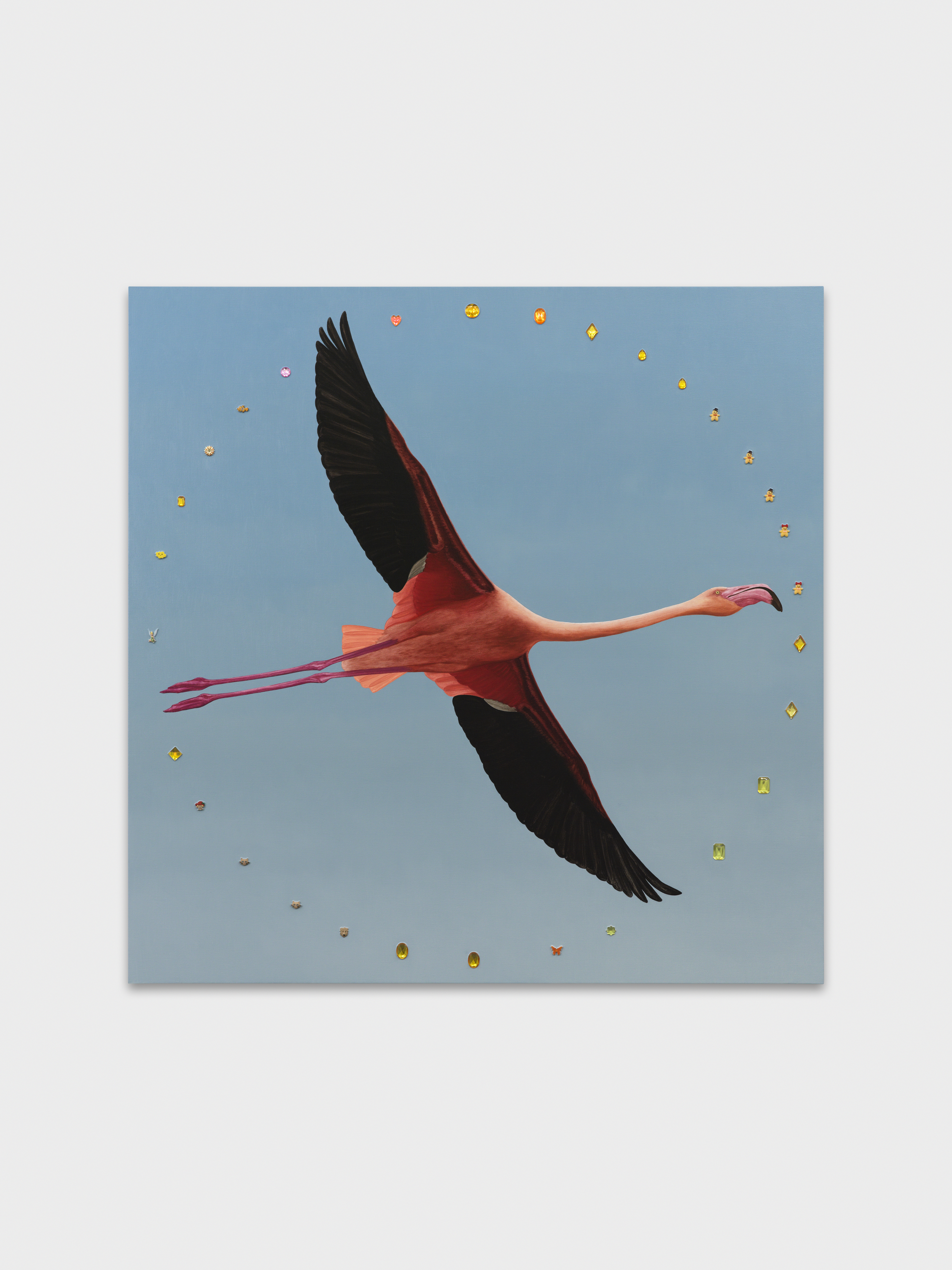 Greater Flamingo with Aureole