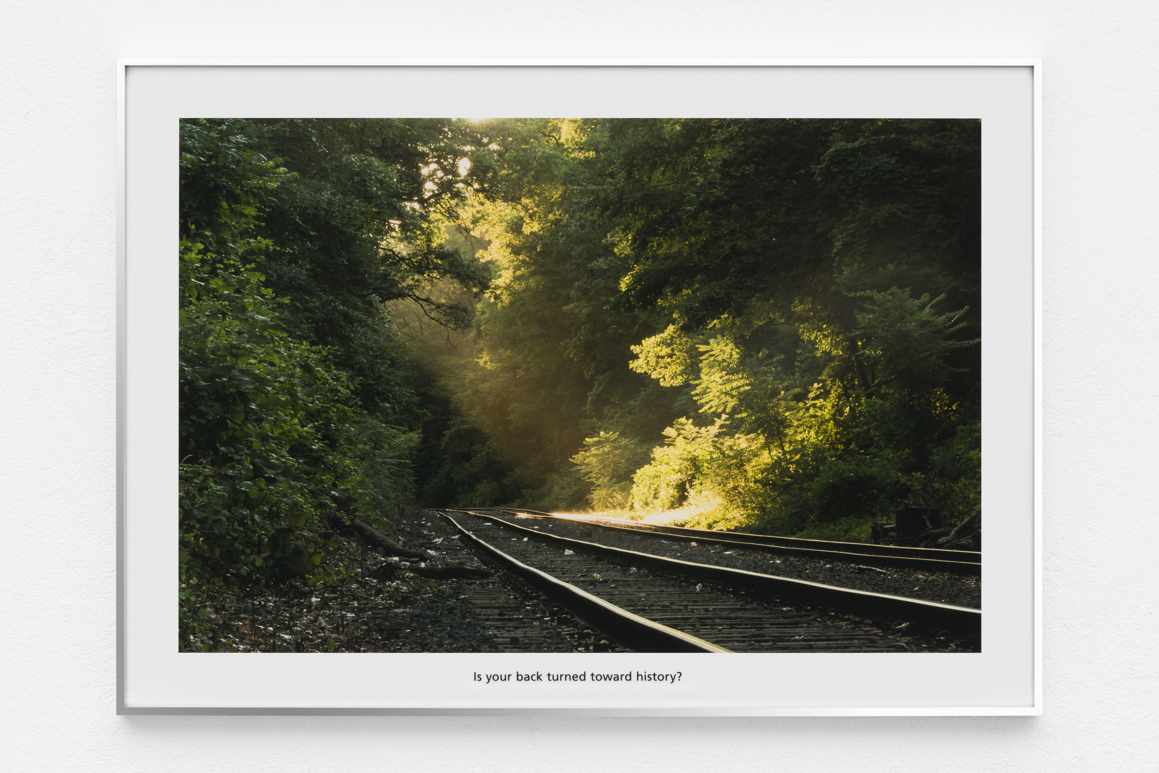 early evening on the new york & atlantic railway, The Premise of a Better Life