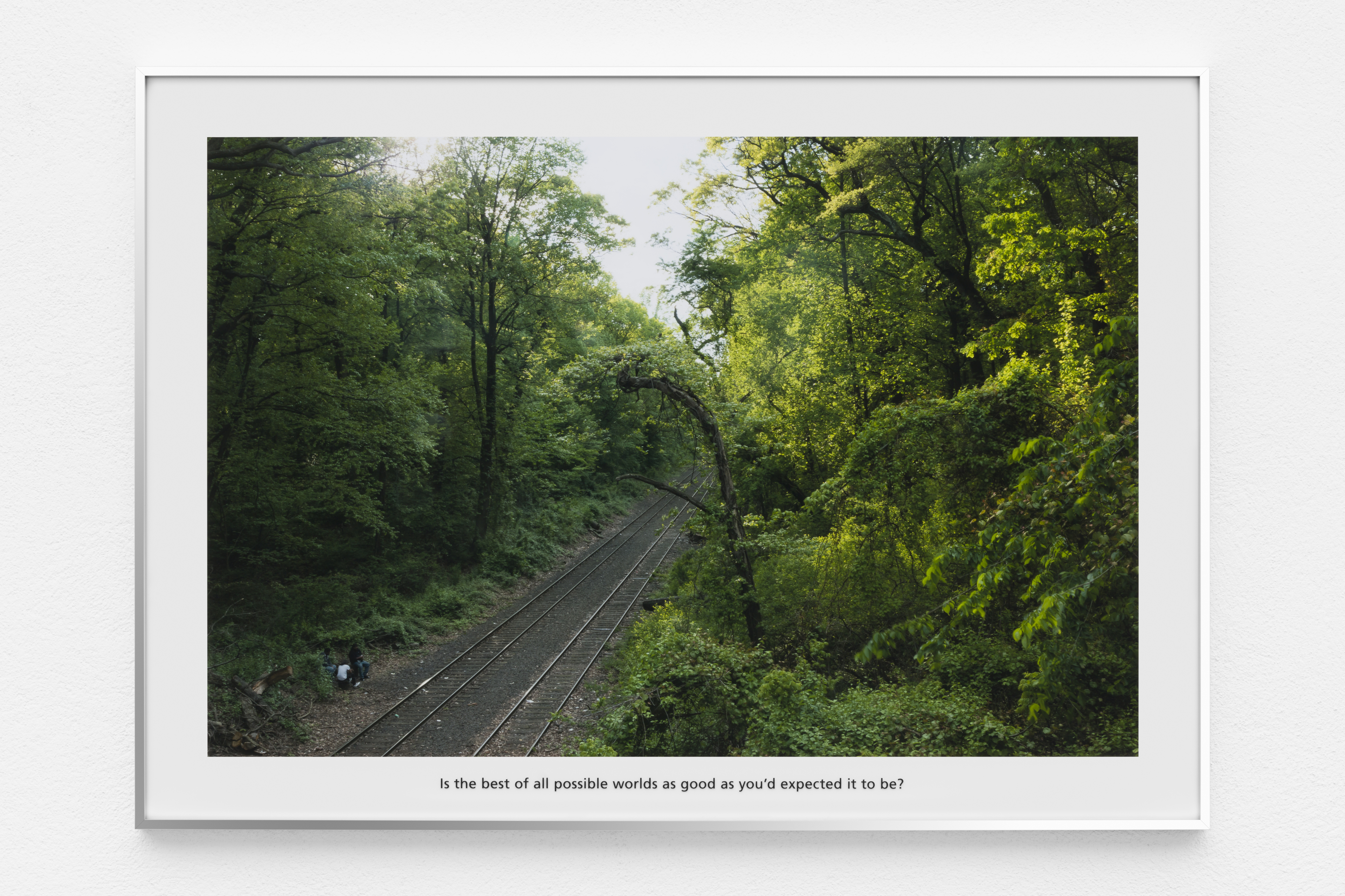 May 16, Forest Park, The Premise of a Better Life