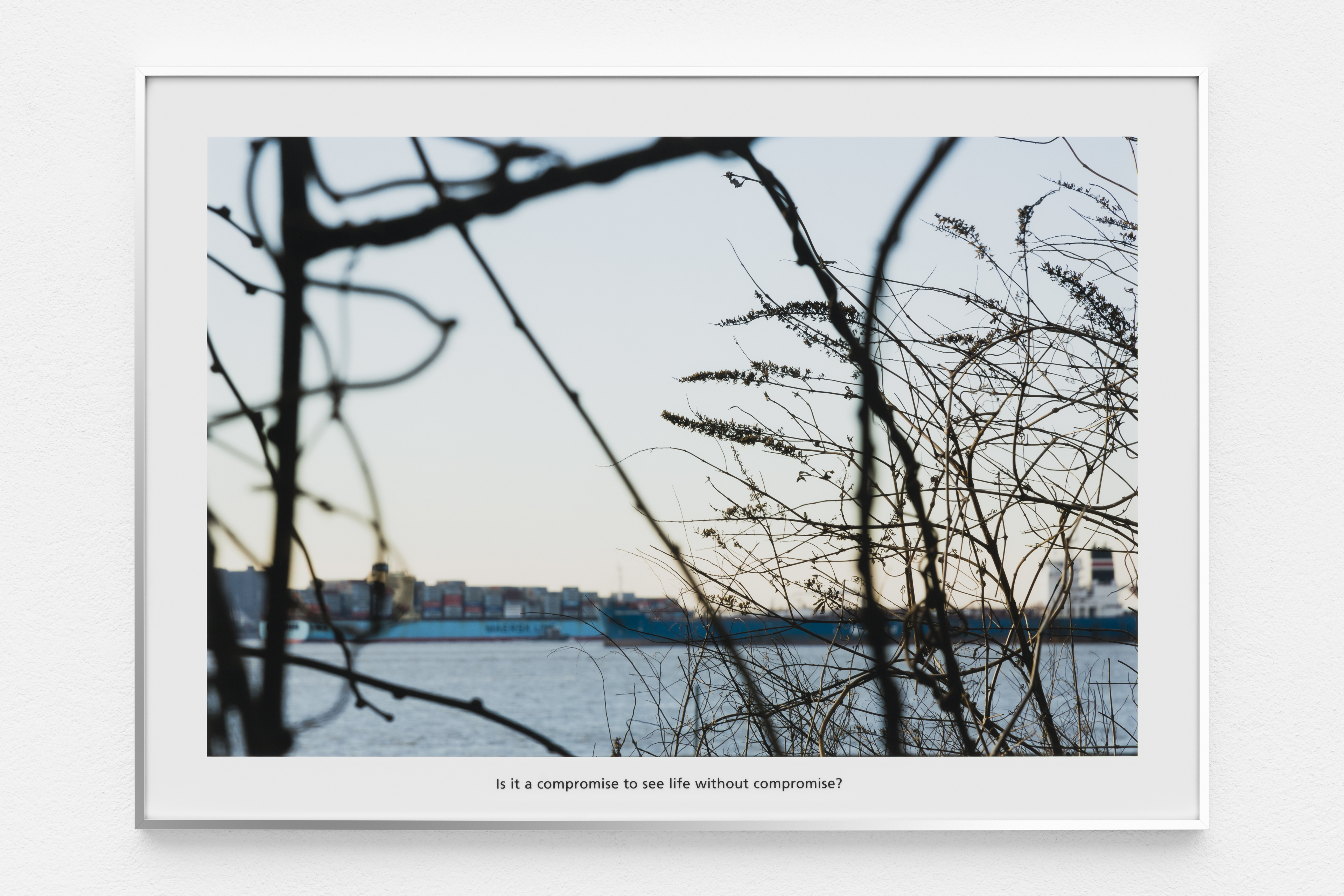 toward New York Bay, The Premise of a Better Life