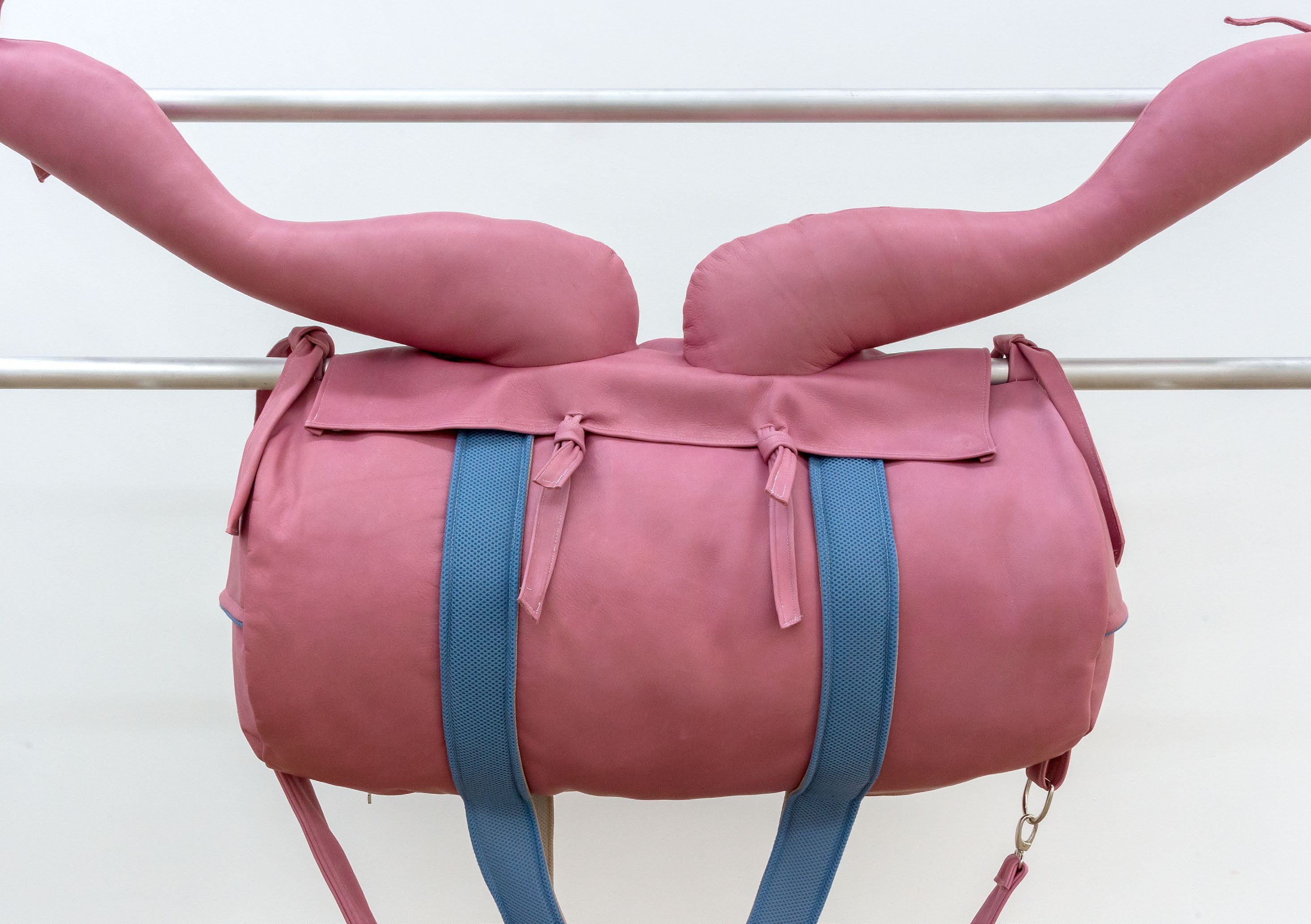 Ballet Bag