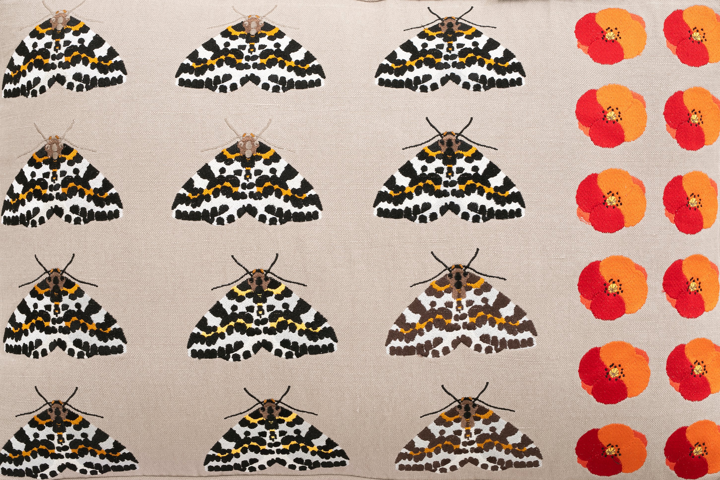 Oak bench with magpie moths, Flanders poppy flowers and snails