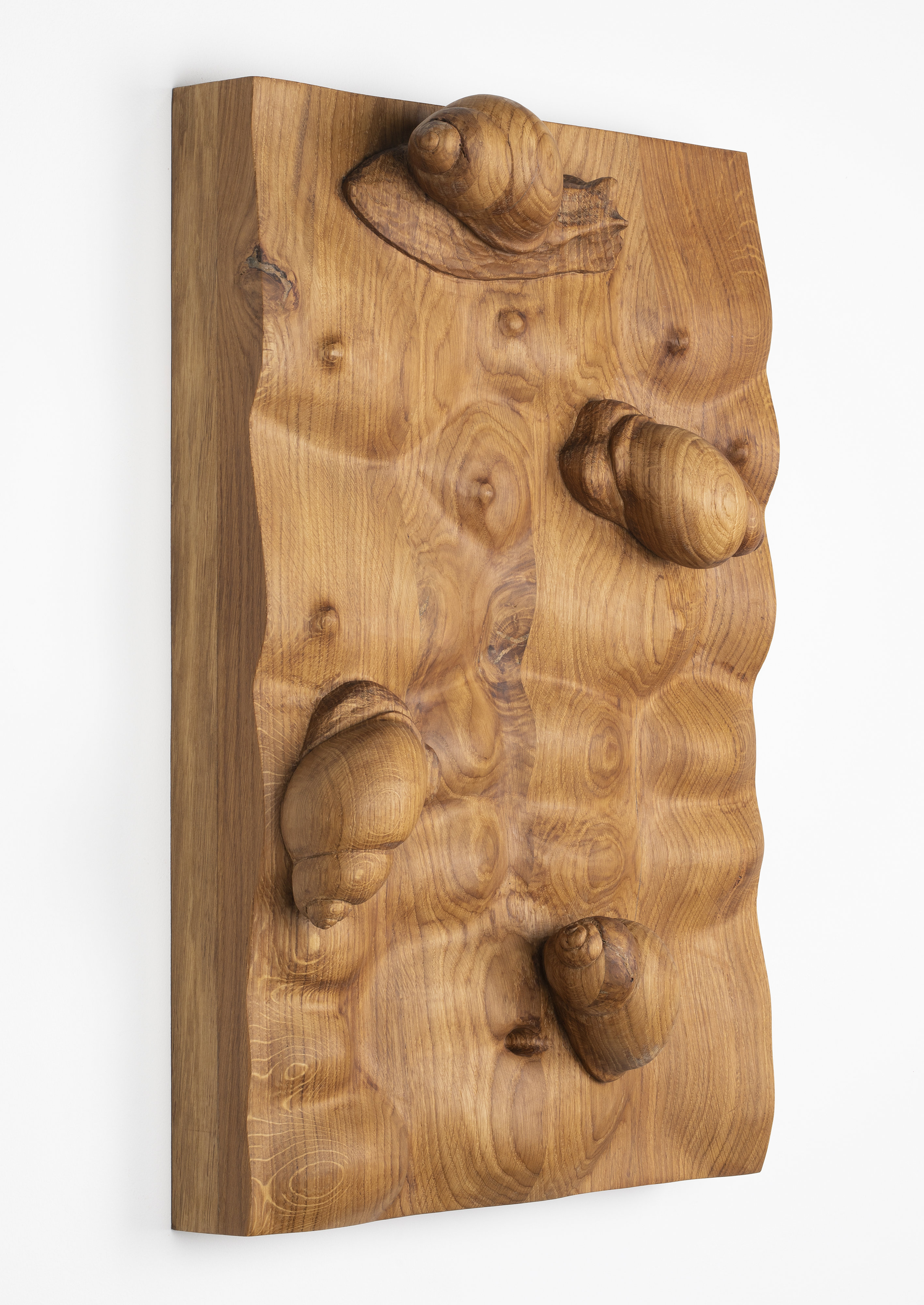 Oak relief with body fragments and snails