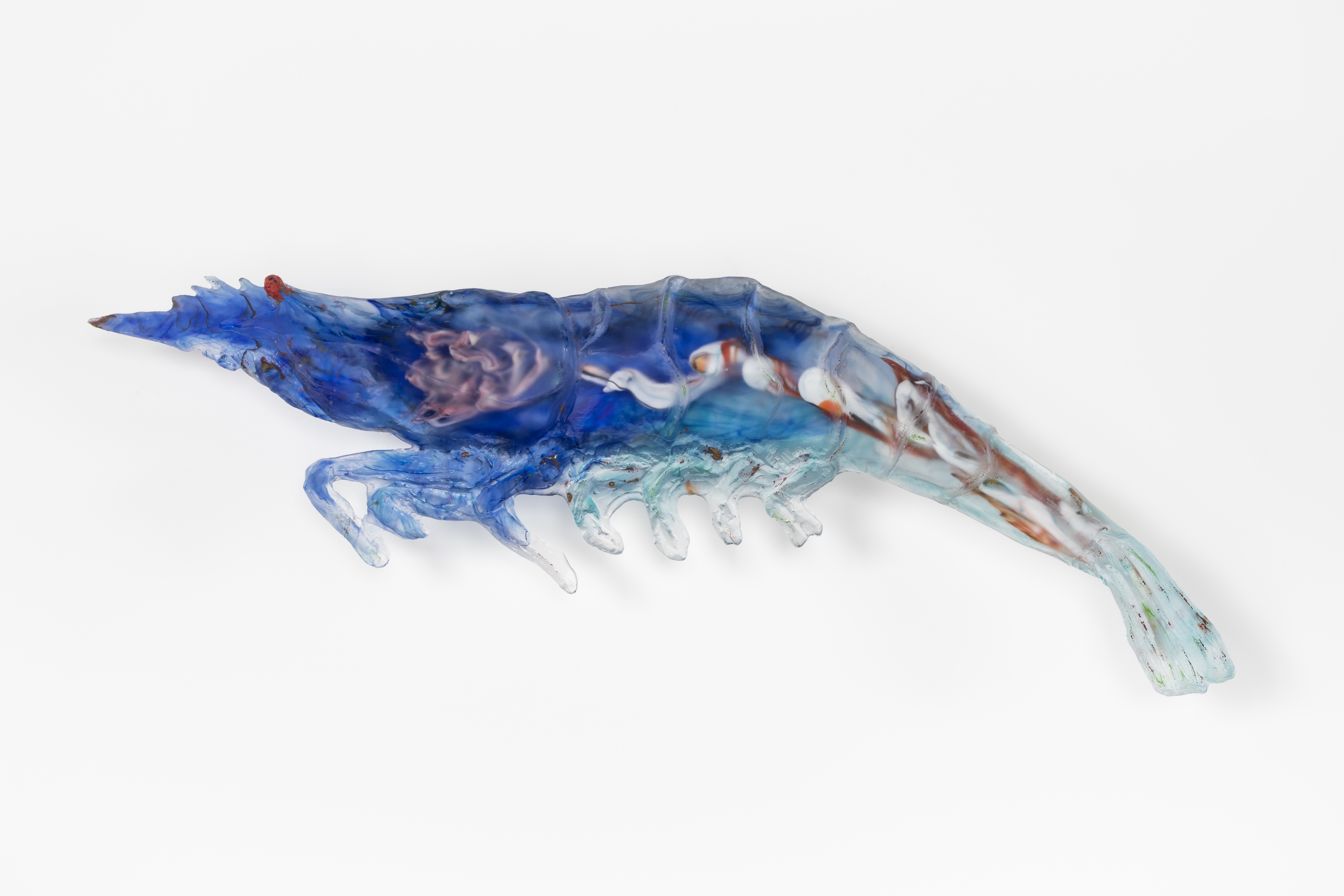 Shrimp