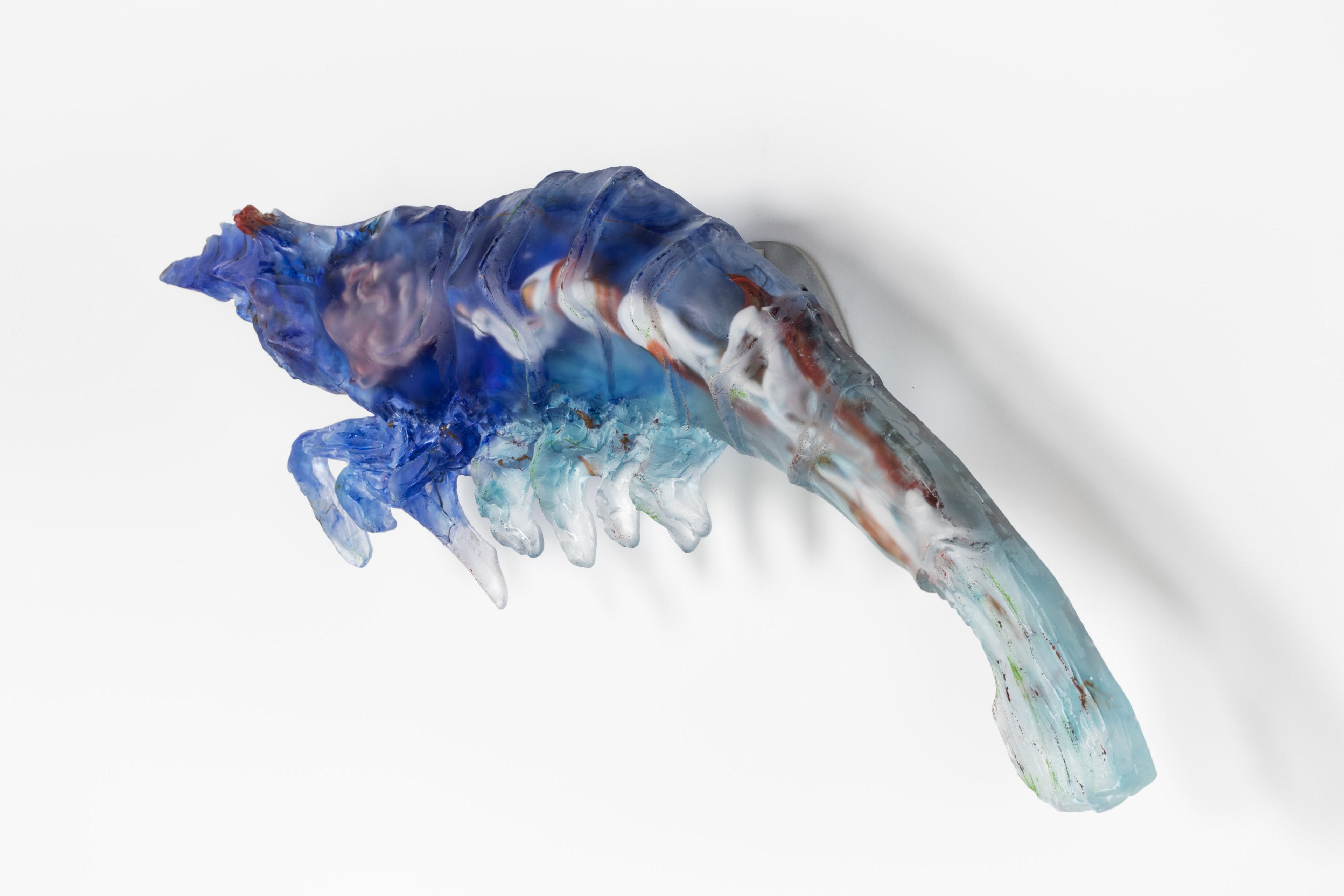 Shrimp