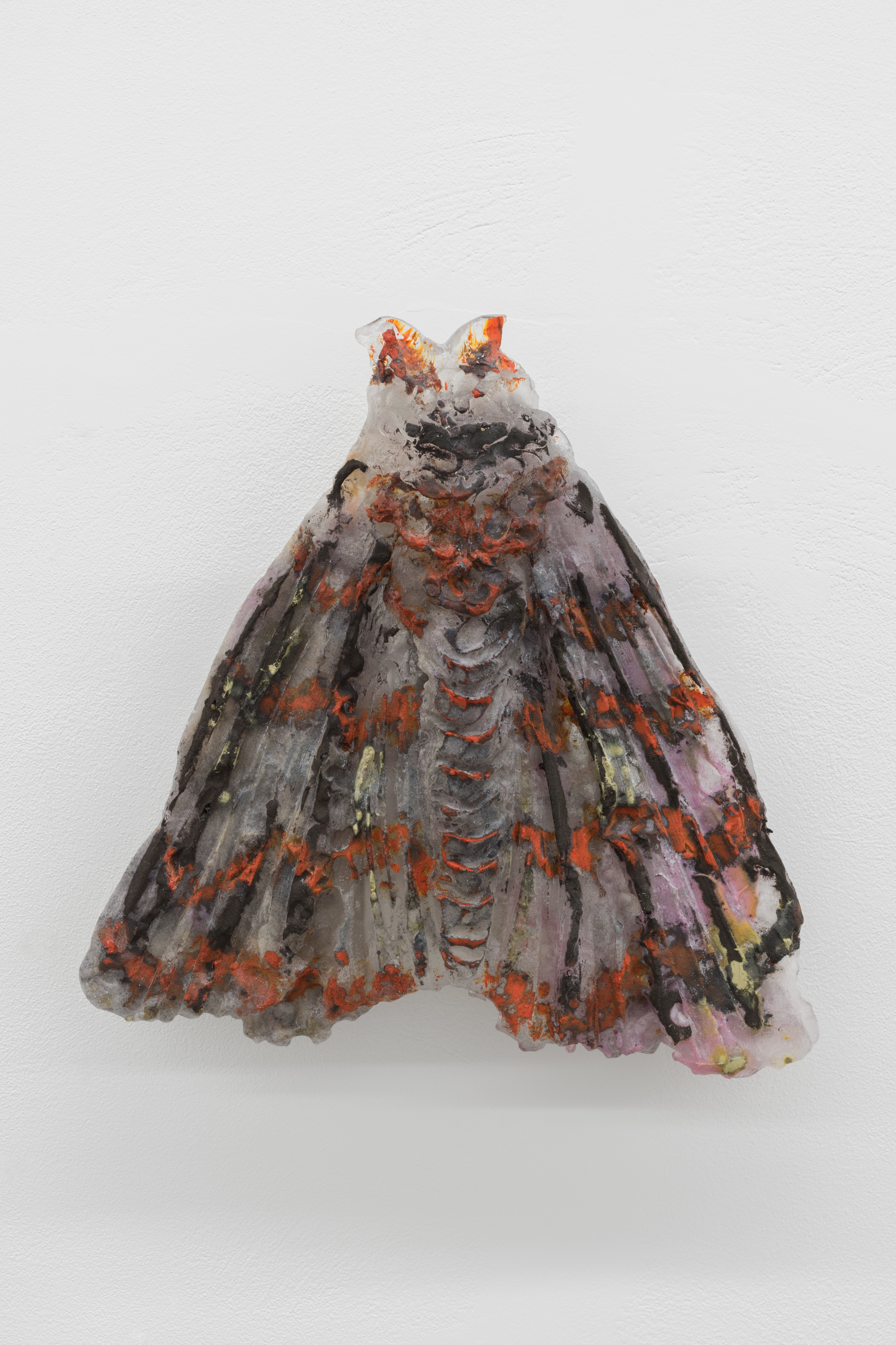 Papillon de nuit 6