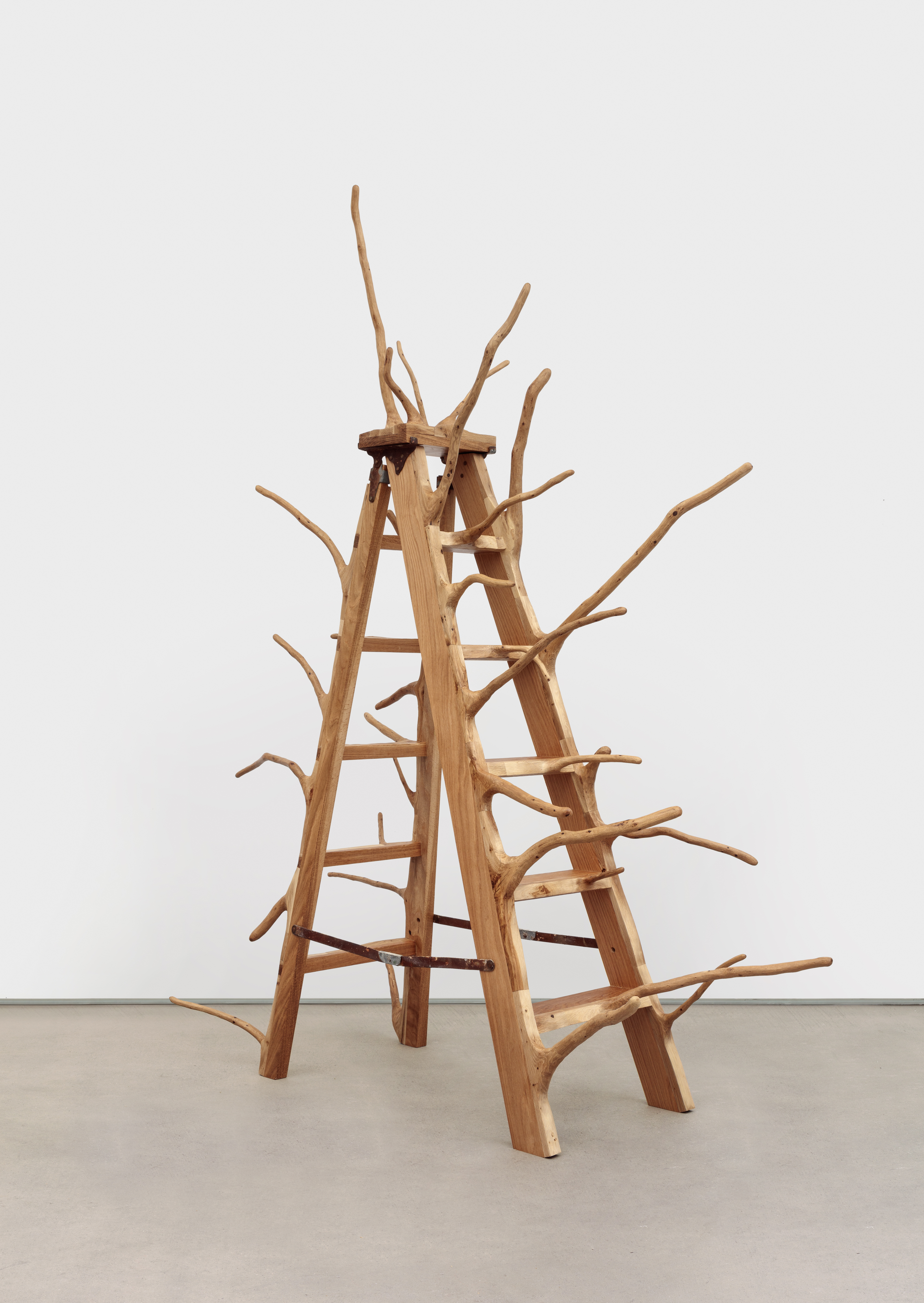 White Oak Ladder