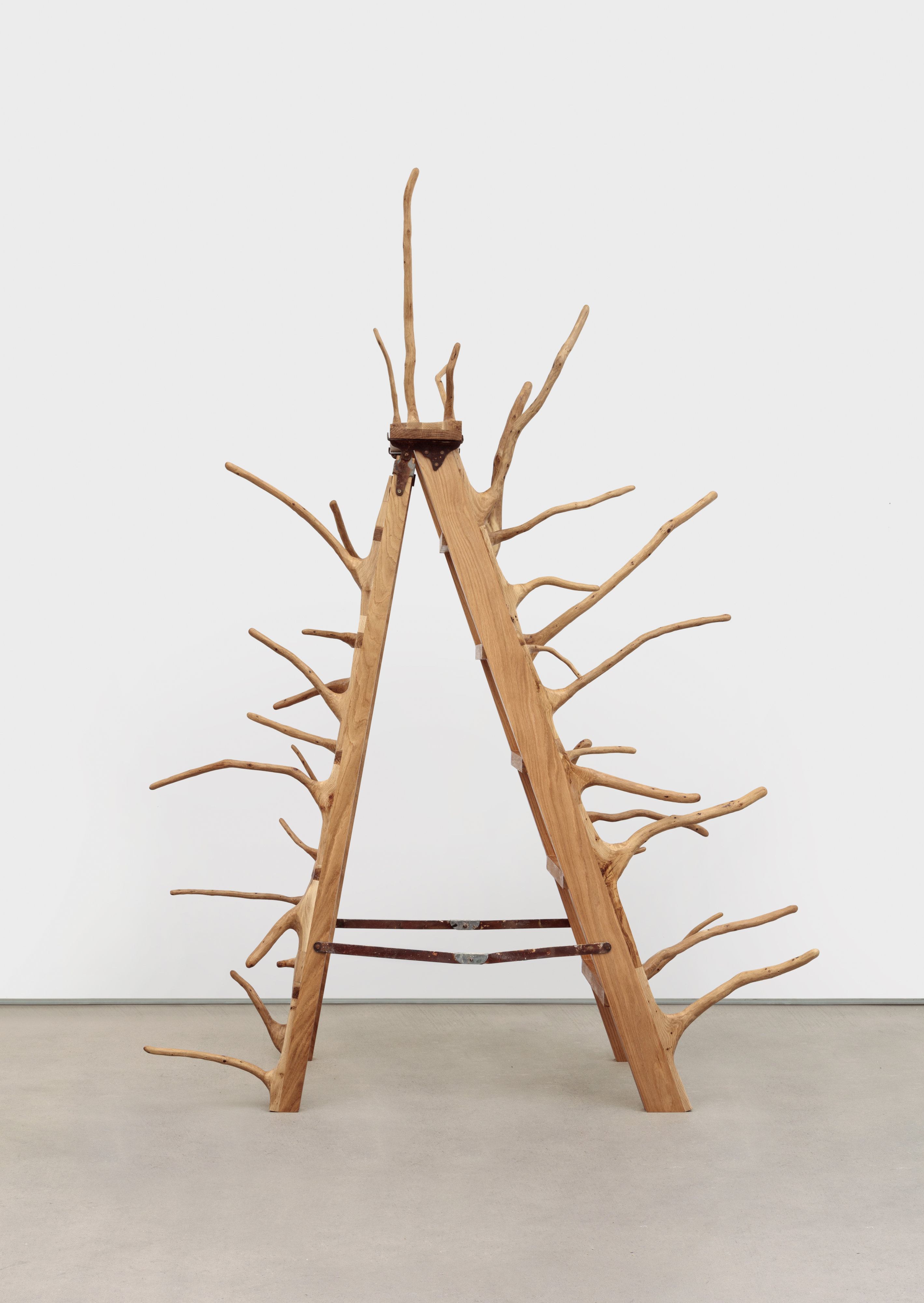 White Oak Ladder
