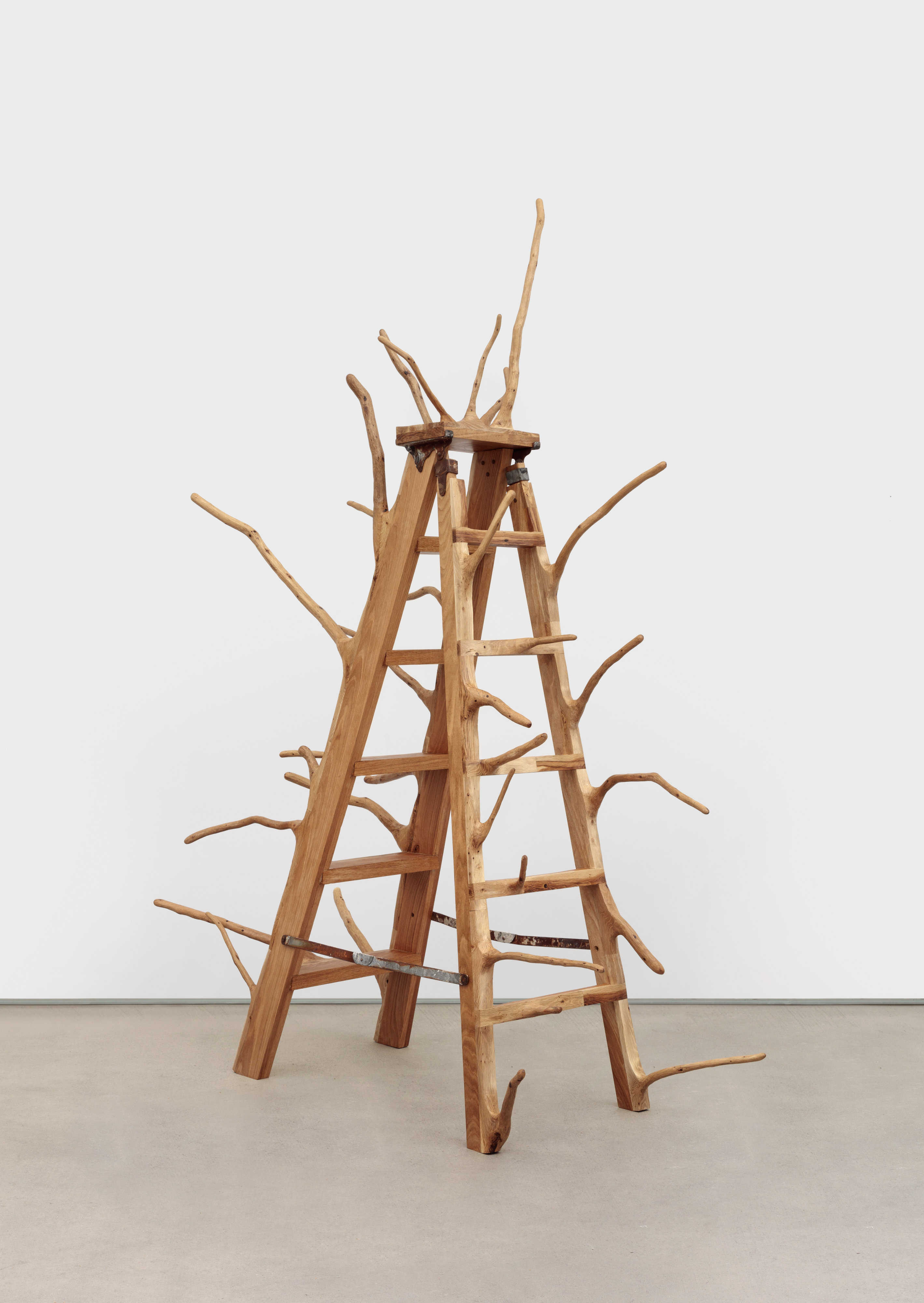 White Oak Ladder