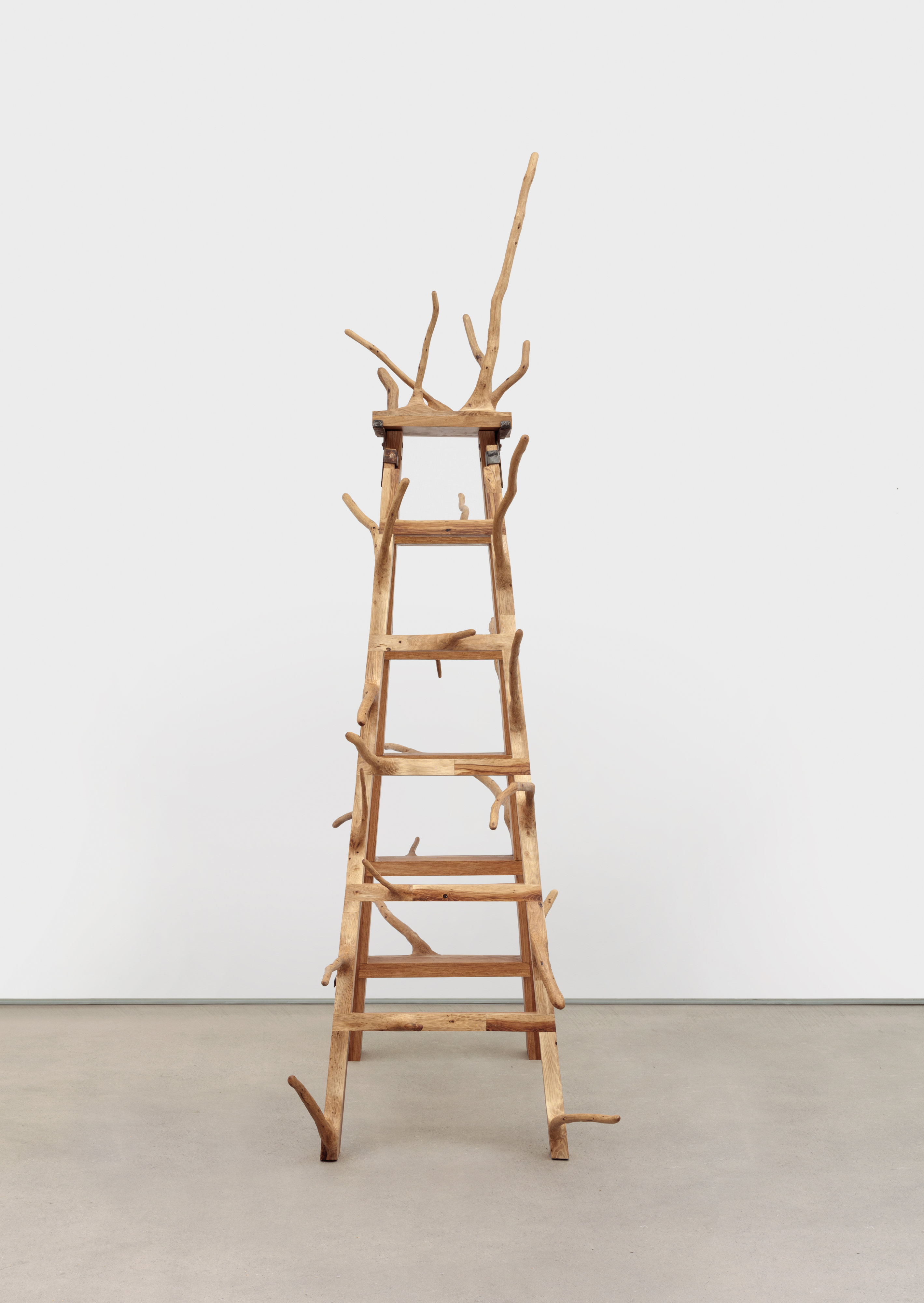 White Oak Ladder