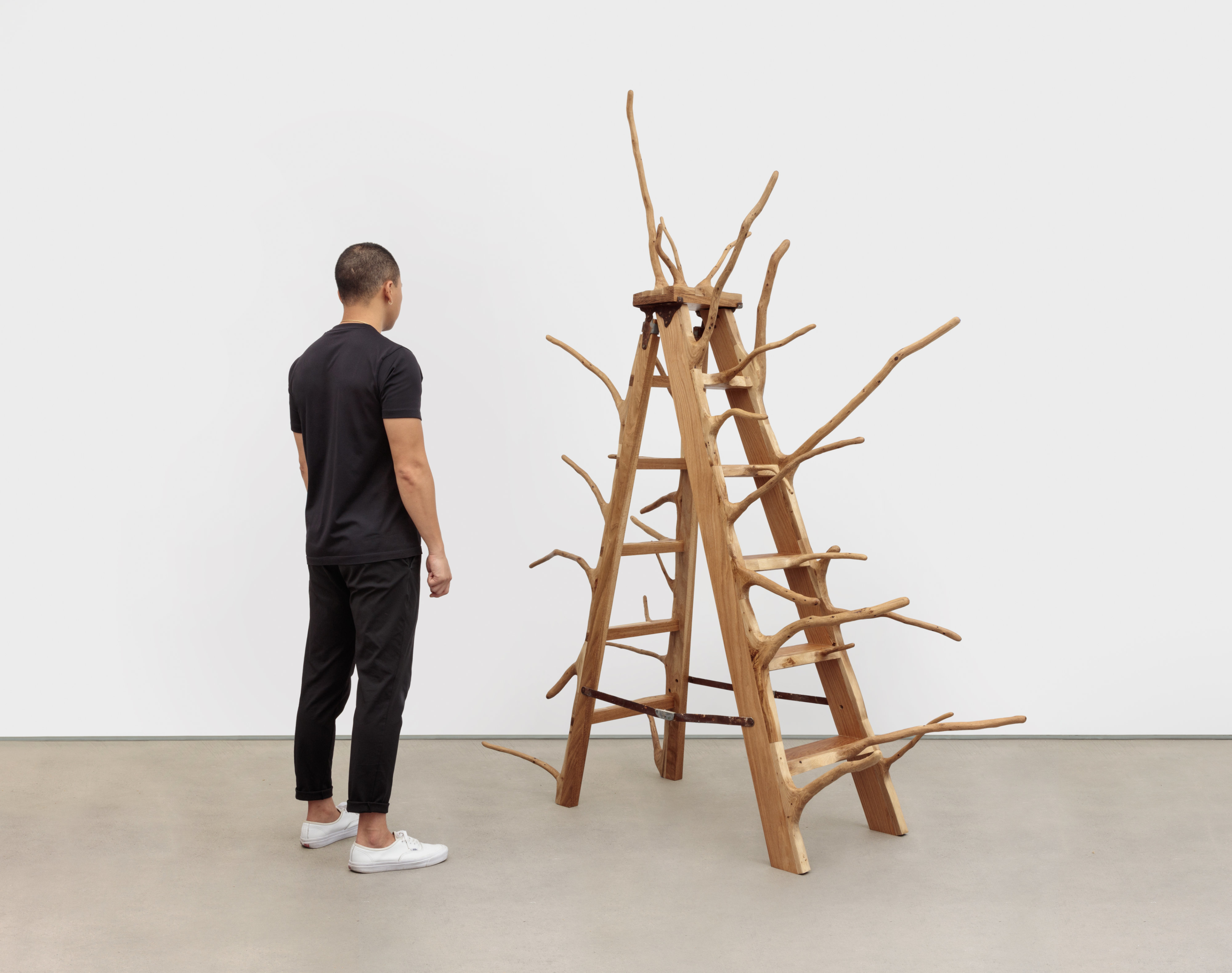White Oak Ladder