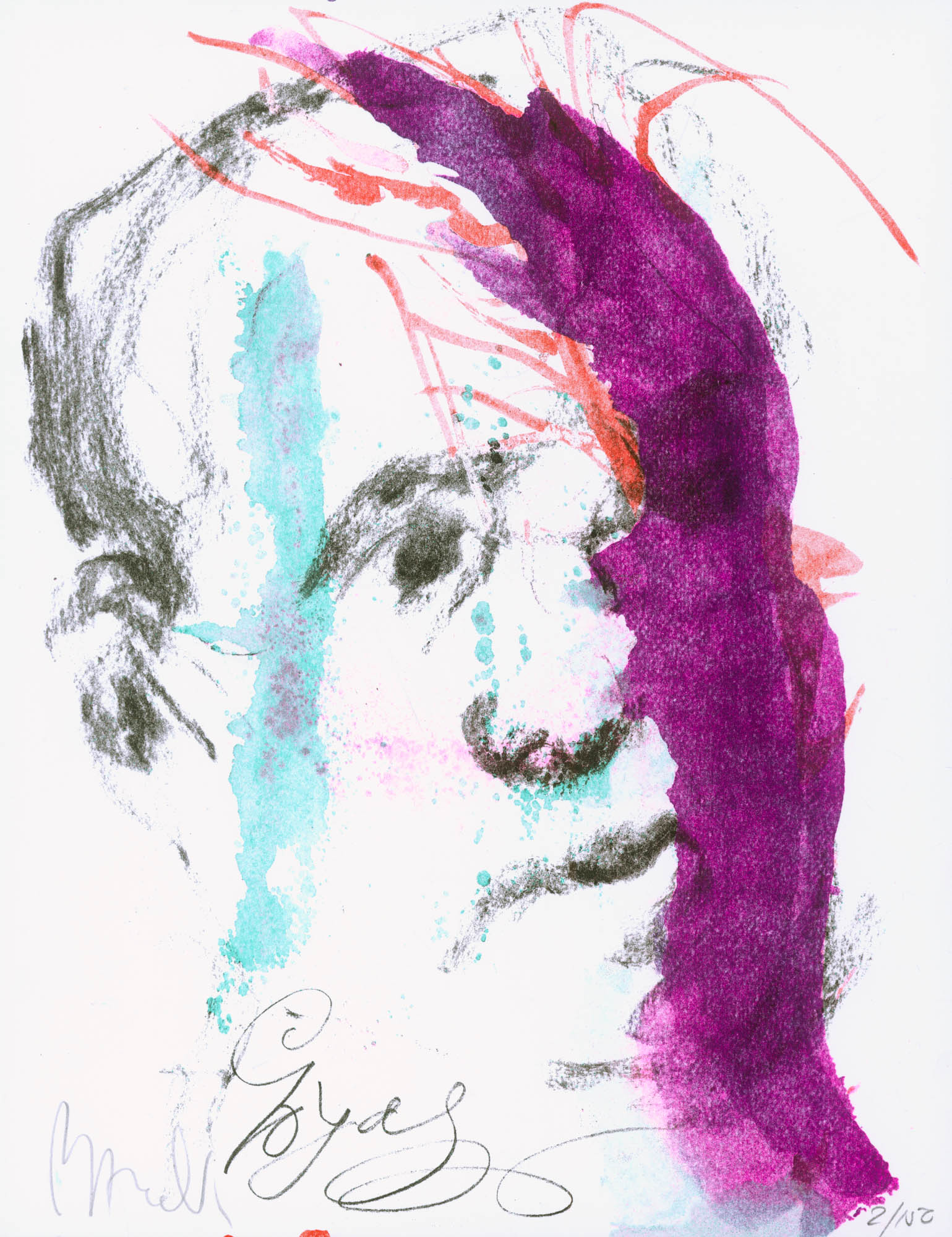 Ever Goya THE PRINT PORTFOLIO