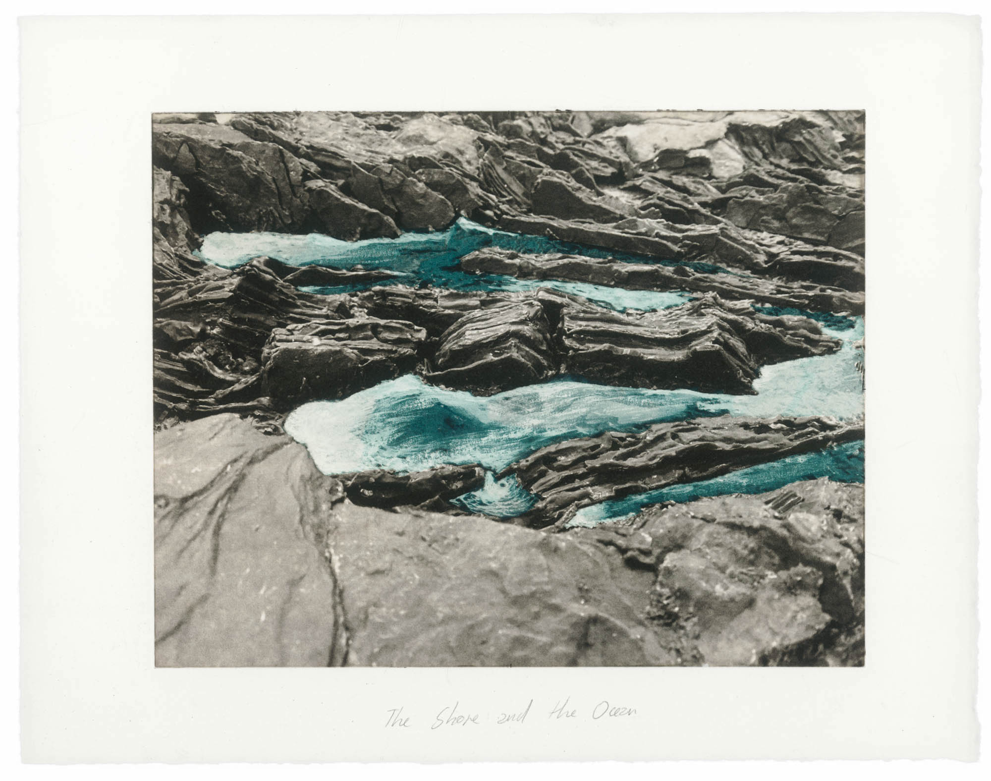 Ever Goya THE PRINT PORTFOLIO